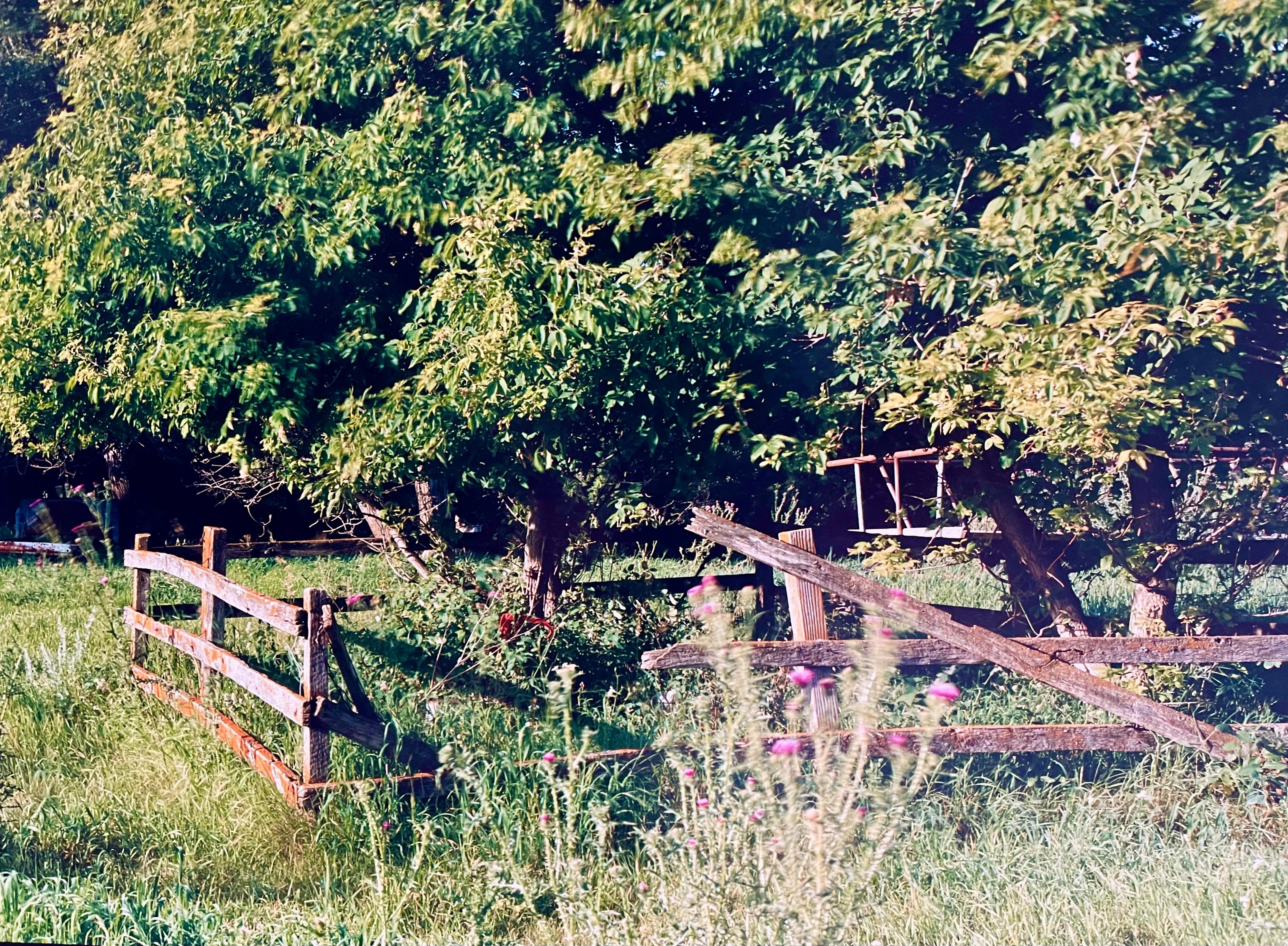 Paysage d'été de ferme, grande photographie couleur vintage en panneau, signée Photo en vente 1