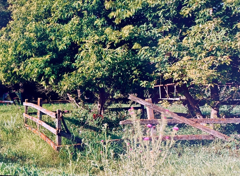 Farm Summer Landscape, Large Panoramic Vintage Color Photograph Signed Photo For Sale 3