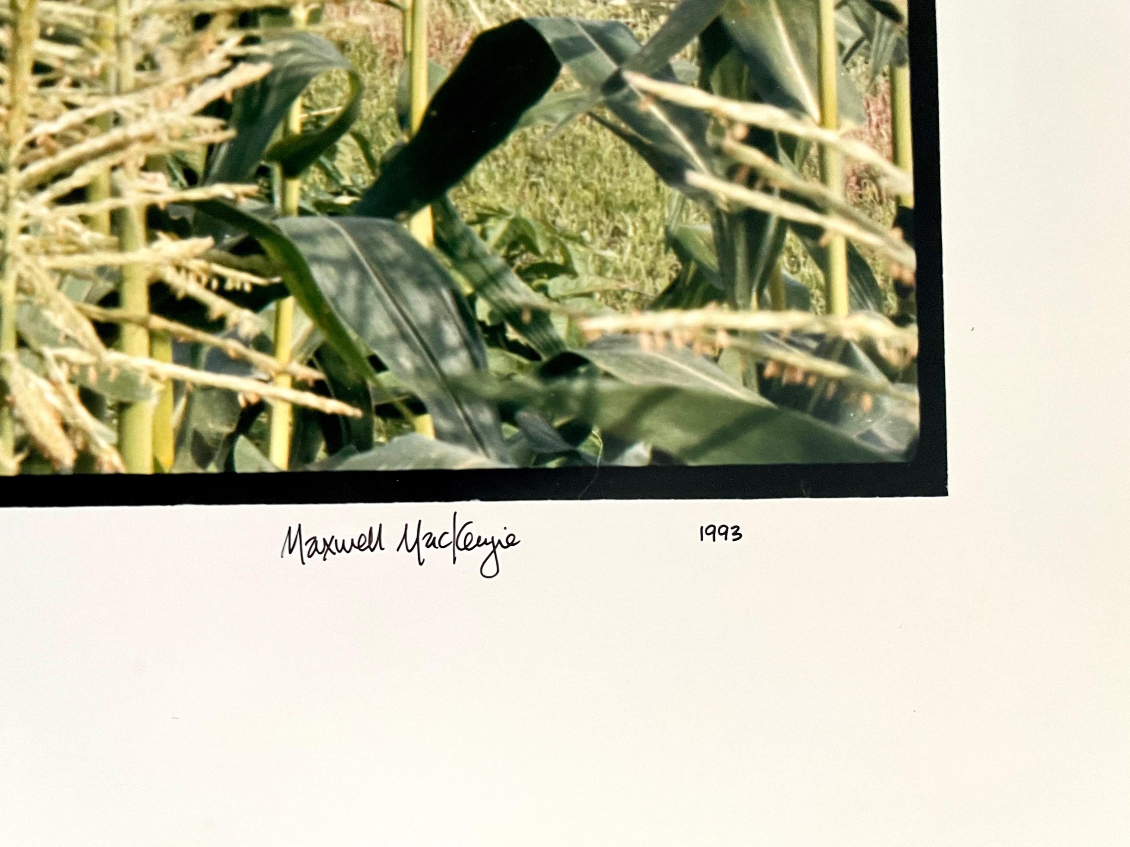 Granja, Paisaje de Verano, Gran Panorámica Fotografía Vintage en Color Firmada Foto en venta 1