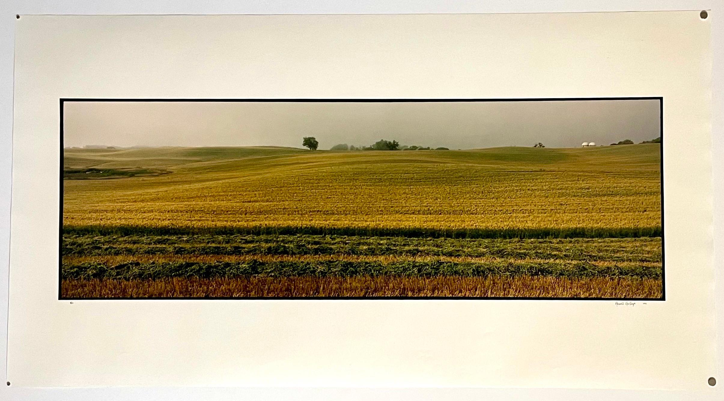 Bauernhof-Sommerlandschaft, große Panoramik-Vintage-Farbfotografie, signiertes Foto im Angebot 1