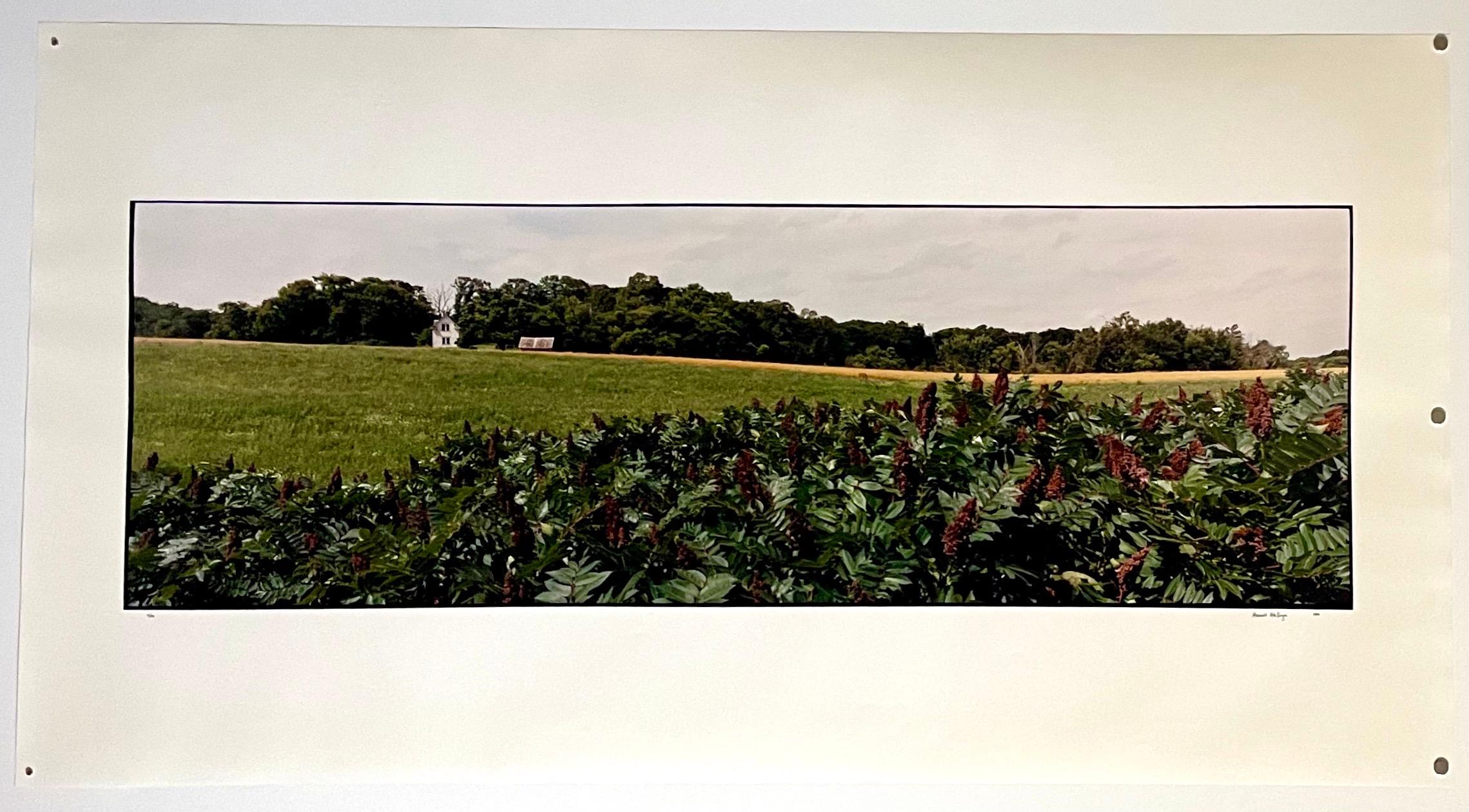 Paysage d'été de ferme, grande photographie couleur vintage en panneau, signée Photo en vente 2