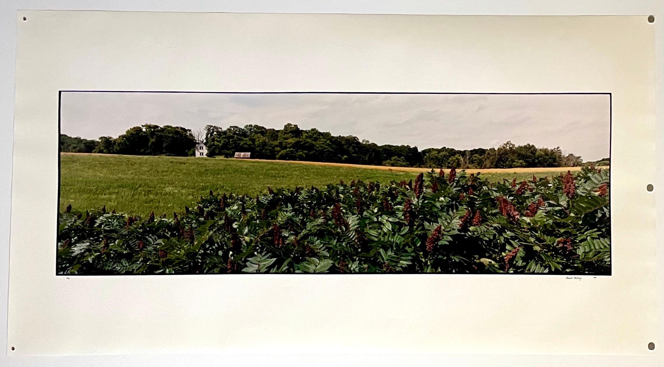 Fattoria Paesaggio estivo, grande fotografia panoramica a colori d'epoca firmata Foto in vendita 2