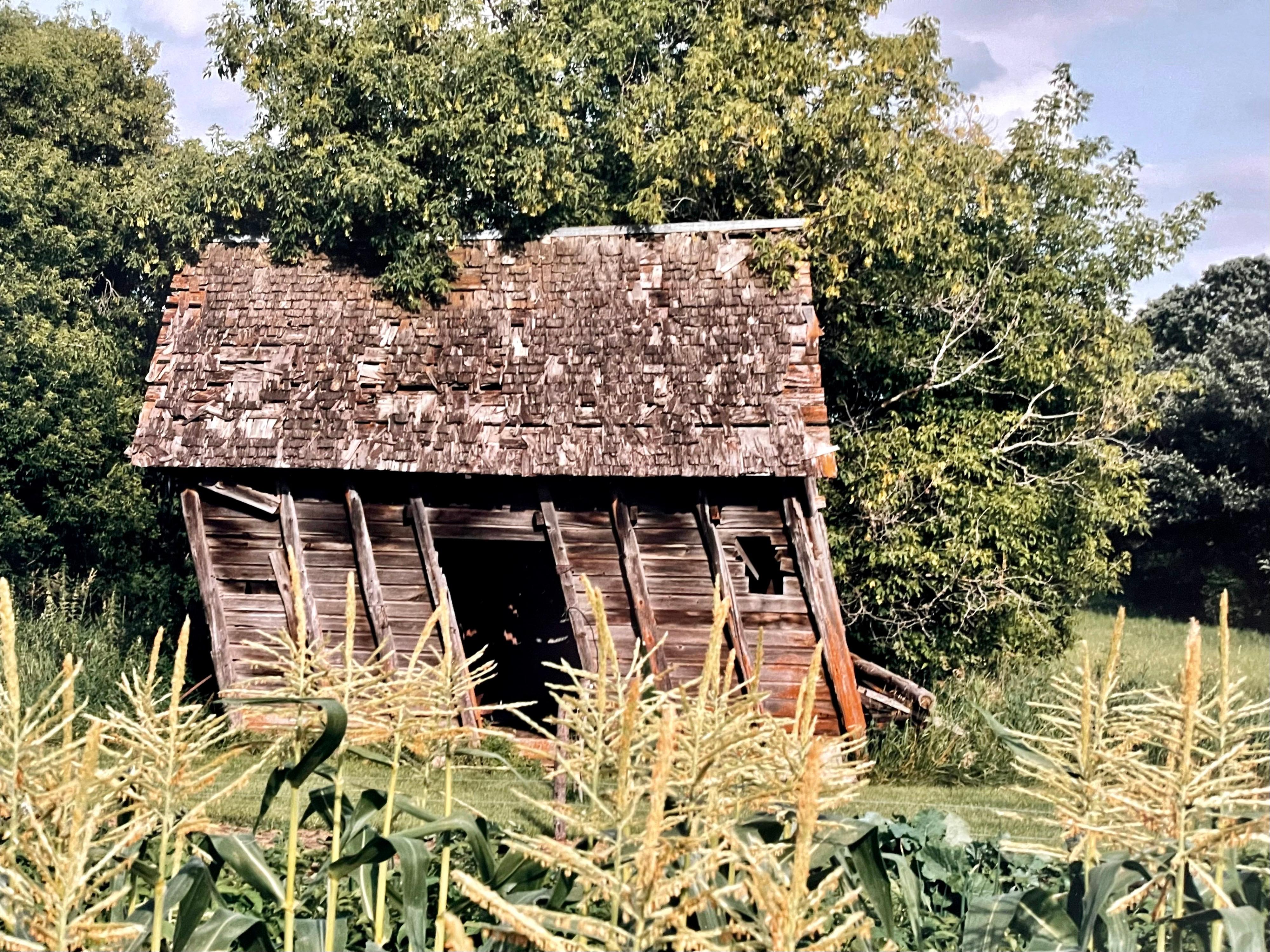Granja, Paisaje de Verano, Gran Panorámica Fotografía Vintage en Color Firmada Foto en venta 3