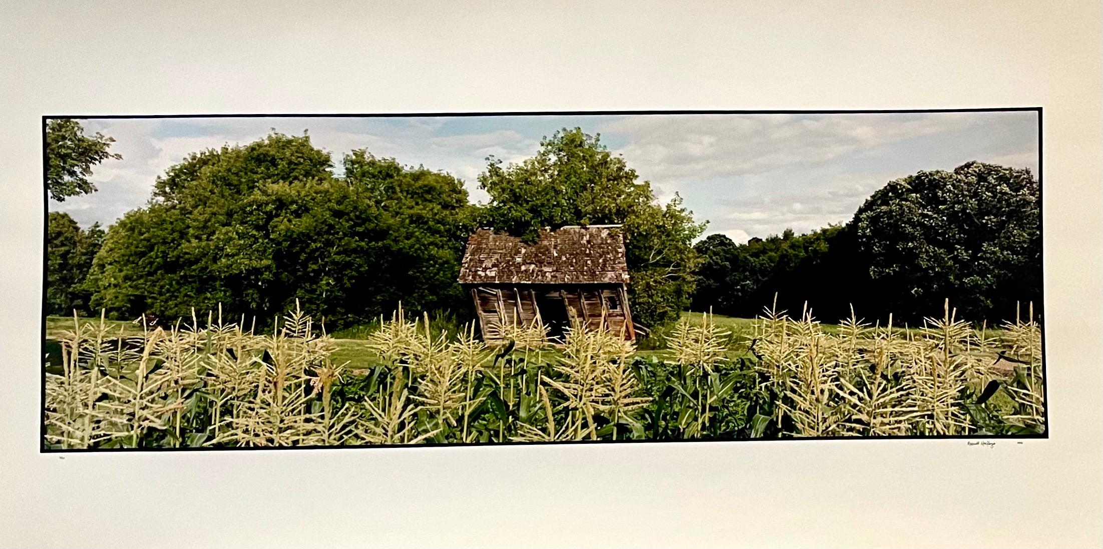 Farm, Summer Landscape, Large Panoramic Vintage Color Photograph Signed Photo
