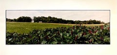 Paysage d'été de ferme, grande photographie couleur vintage en panneau, signée Photo