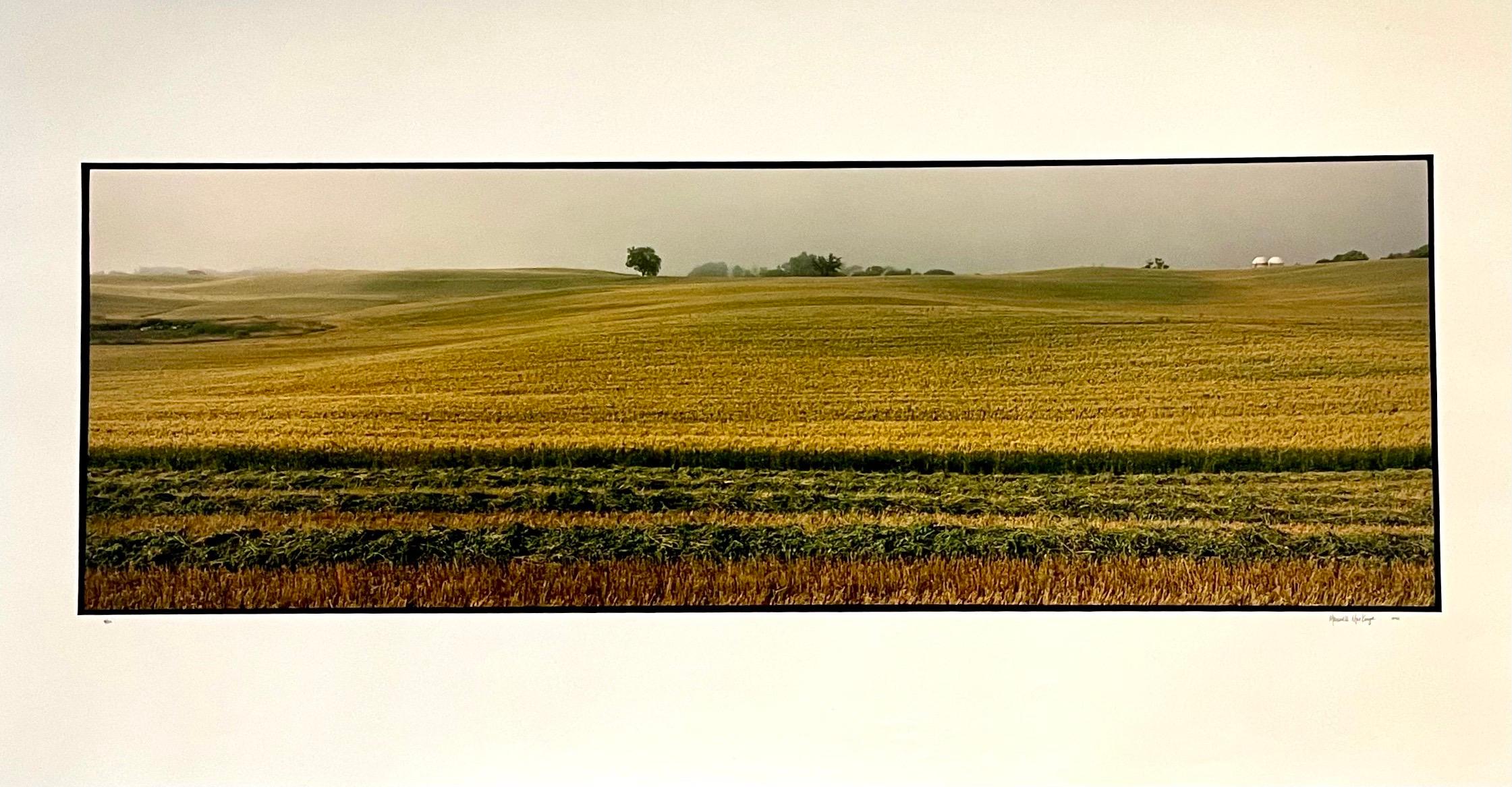 Farm Summer Landscape, Large Panoramic Vintage Color Photograph Signed Photo