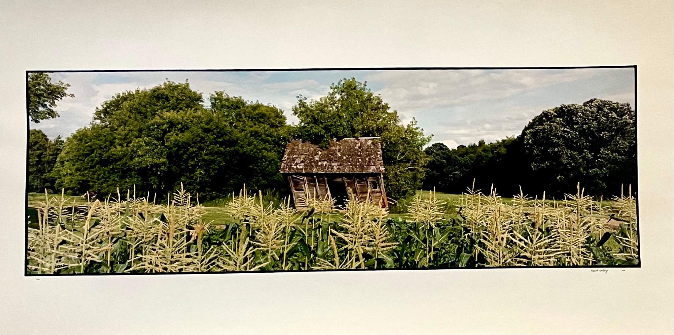 Landscape Photograph de Maxwell Mackenzie - Granja, Paisaje de Verano, Gran Panorámica Fotografía Vintage en Color Firmada Foto