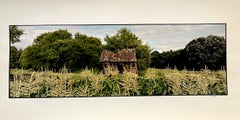 Fattoria, paesaggio estivo, grande fotografia panoramica a colori d'epoca firmata Foto