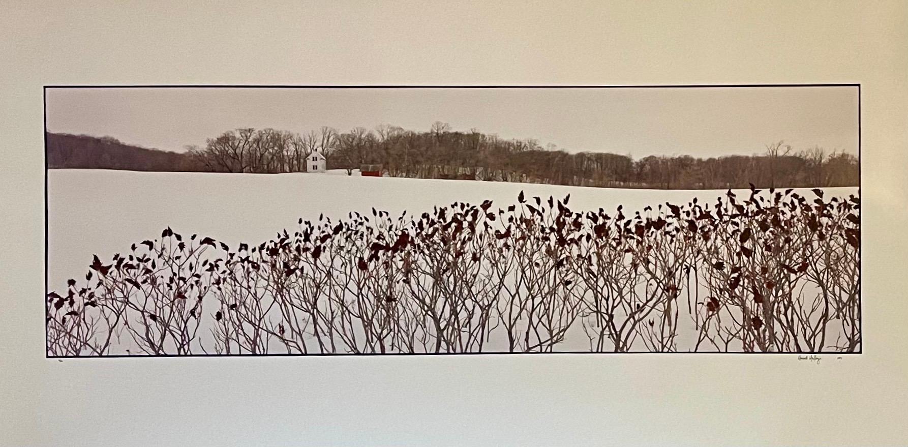 Paysage de ferme, paysage d'hiver, grande photographie couleur vintage en panneau, signée - Photograph de Maxwell Mackenzie