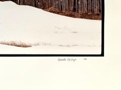 Farm, Winter Landscape, Large Panoramic Vintage Color Photograph Signed Photo