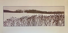 Farm, Winter Landscape, Large Panoramic Vintage Color Photograph Signed Photo