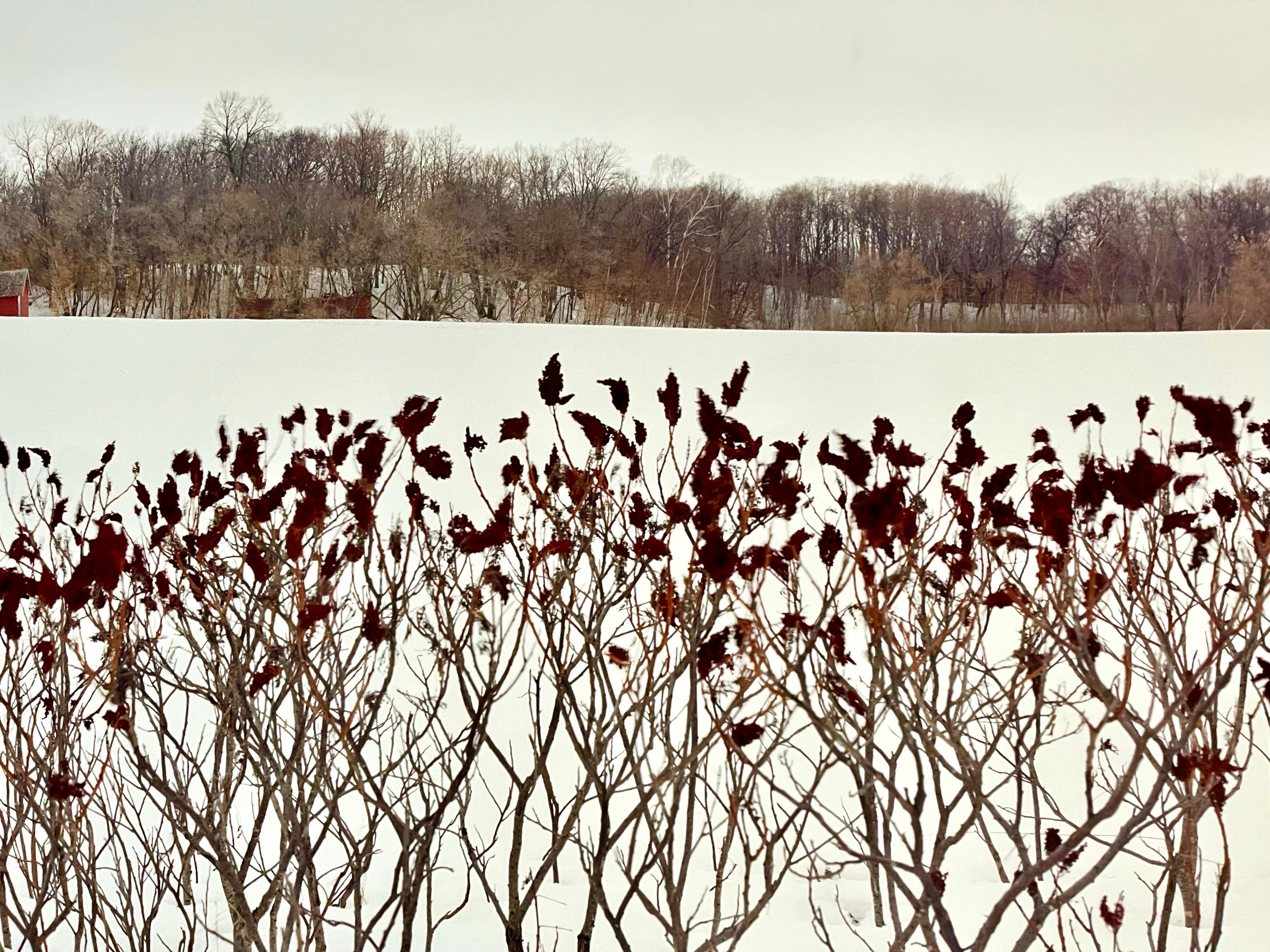 Paysage de ferme, paysage d'hiver, grande photographie couleur vintage en panneau, signée - Réalisme américain Photograph par Maxwell Mackenzie