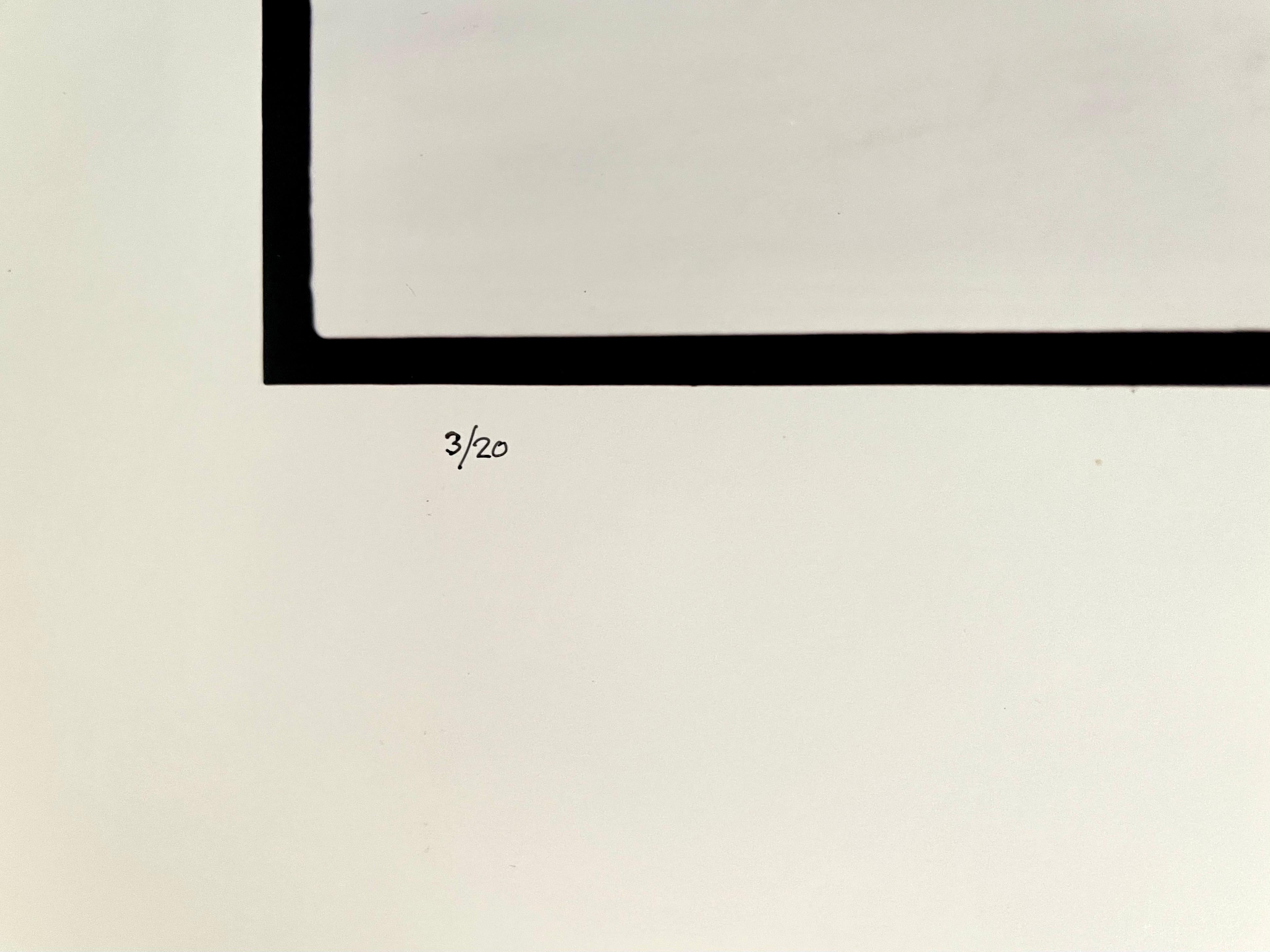 Maplewood Township Homestead, inverno, 1993
Favolosa fotografia di paesaggio americano di una scena di paesaggio rurale. 
da una piccola edizione firmata a mano di 20 esemplari
Stampa cromogenica di grande formato su carta professionale Kodak
Le