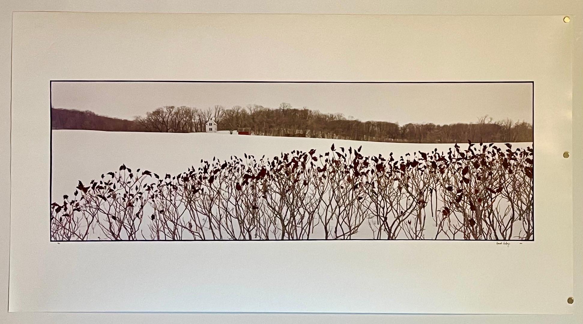 La ferme, paysage d'hiver, grande photographie Panoramique couleur vintage signée en vente 2