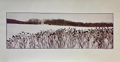 Fattoria, paesaggio invernale, grande fotografia panoramica a colori d'epoca firmata