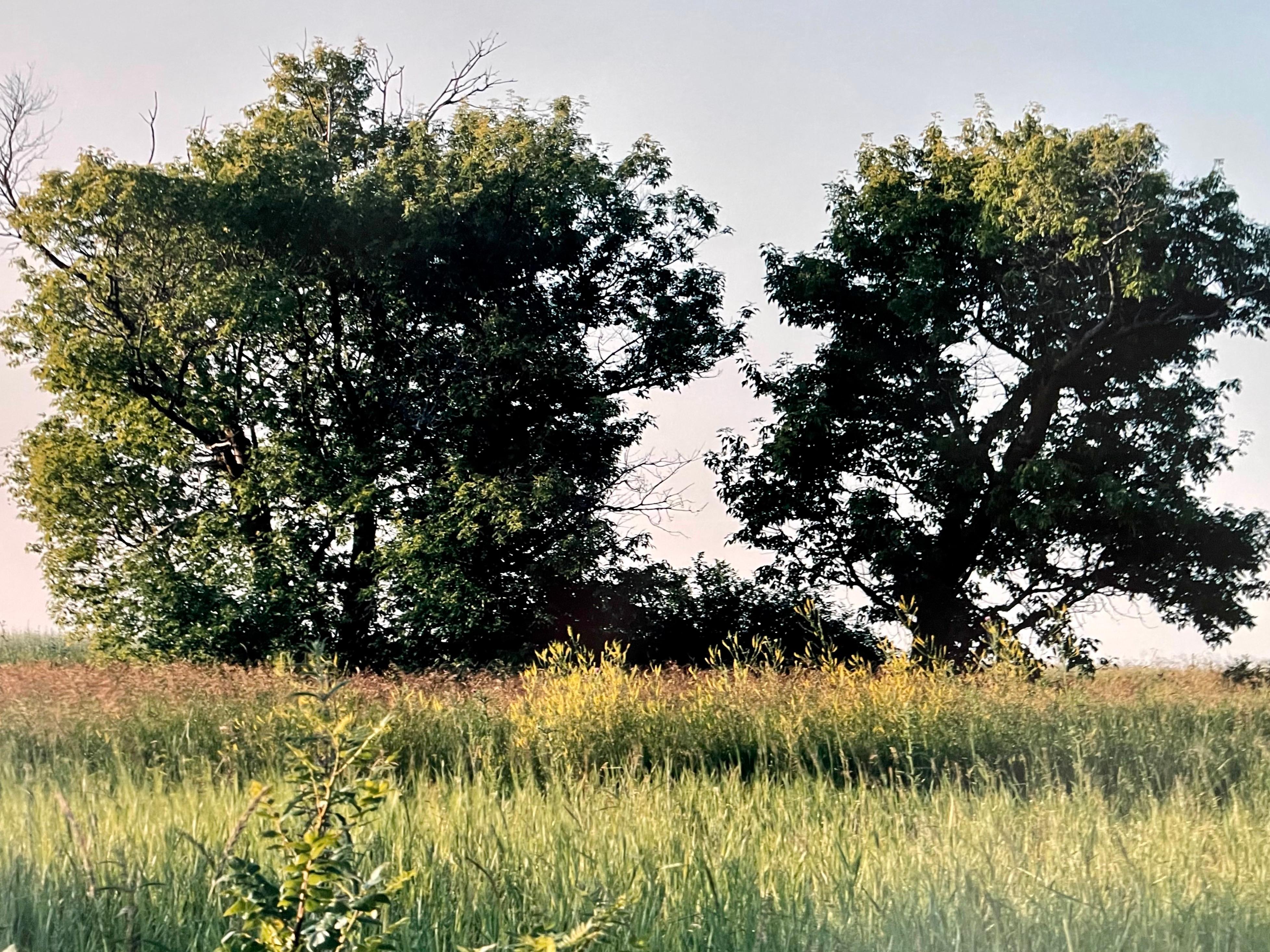Old Barn Summer Landscape, Large Panoramic Vintage Color Photograph Signed Photo - Blanc Landscape Photograph par Maxwell Mackenzie