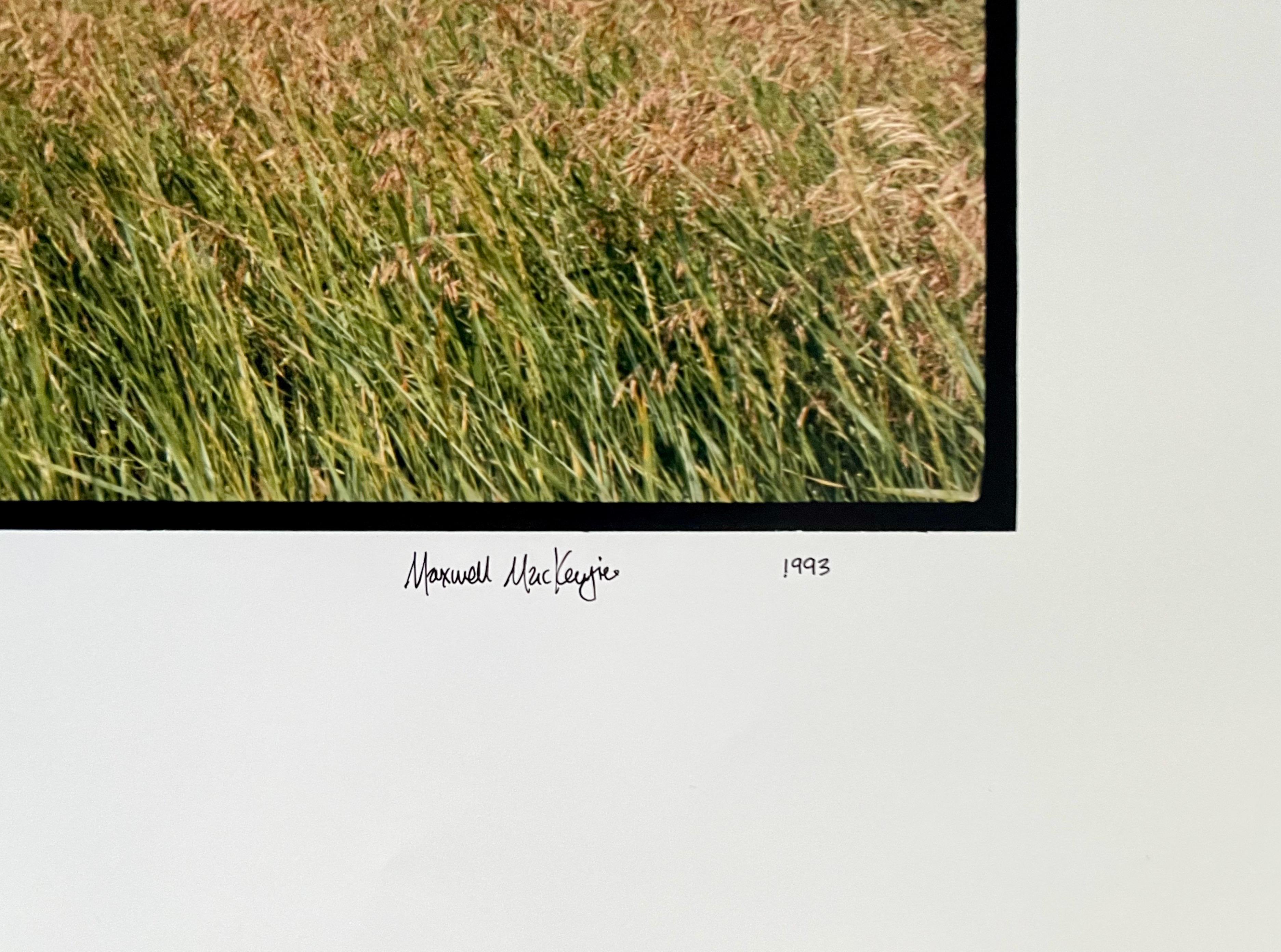 Old Barn Sommerlandschaft, große Panoramic Vintage-Farbfotografie, signiertes Foto – Photograph von Maxwell Mackenzie