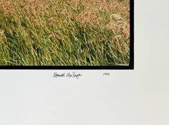 Old Barn Summer Landscape, Large Panoramic Vintage Color Photograph Signed Photo