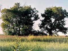 Old Barn Summer Landscape, Large Panoramic Vintage Color Photograph Signed Photo