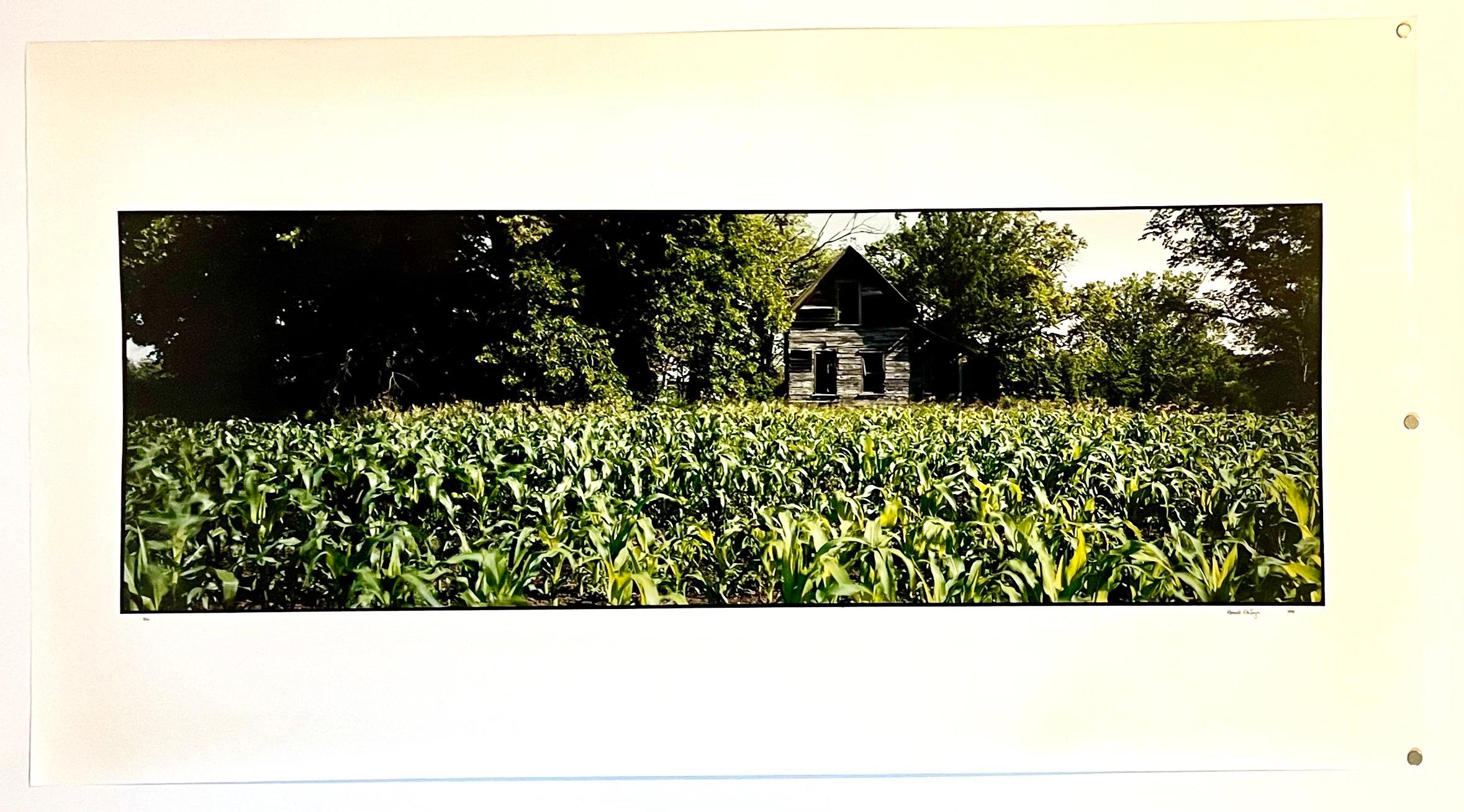 Old Barn Summer Landscape, Large Panoramic Vintage Color Photograph Signed Photo For Sale 1