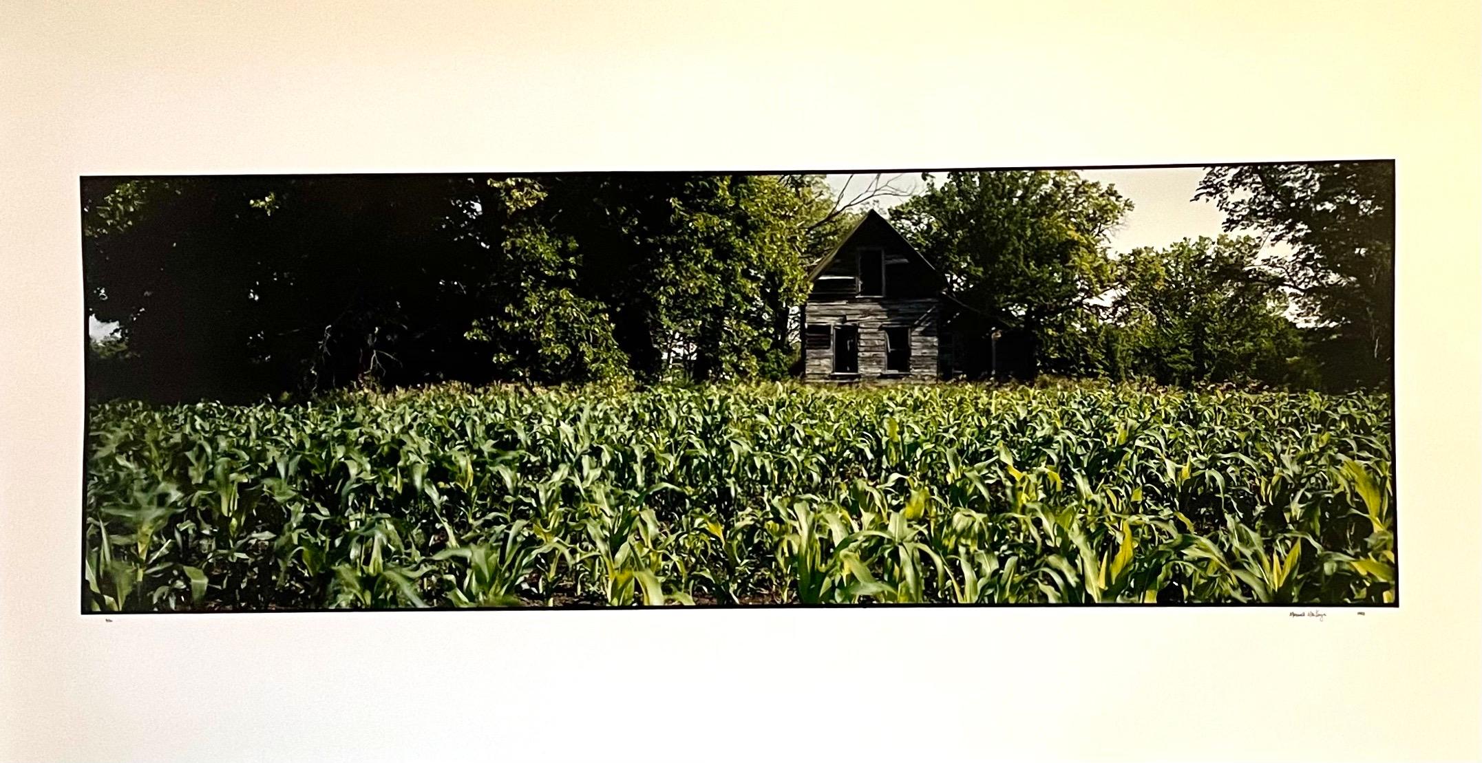 Maxwell Mackenzie Color Photograph – Old Barn Sommerlandschaft, große Panoramic Vintage-Farbfotografie, signiertes Foto