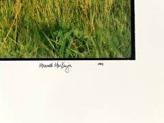 School, Summer Landscape, Large Panoramic Vintage Color Photograph Signed Photo