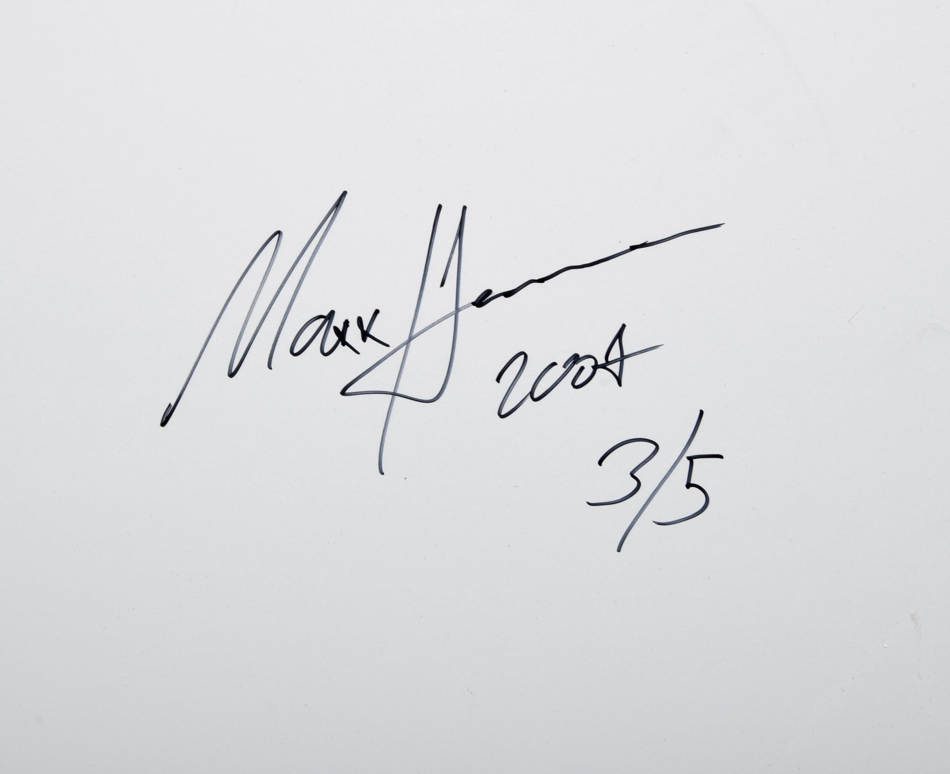 Large Maxx Hermann C-Print, Signed Limited Edition For Sale 2