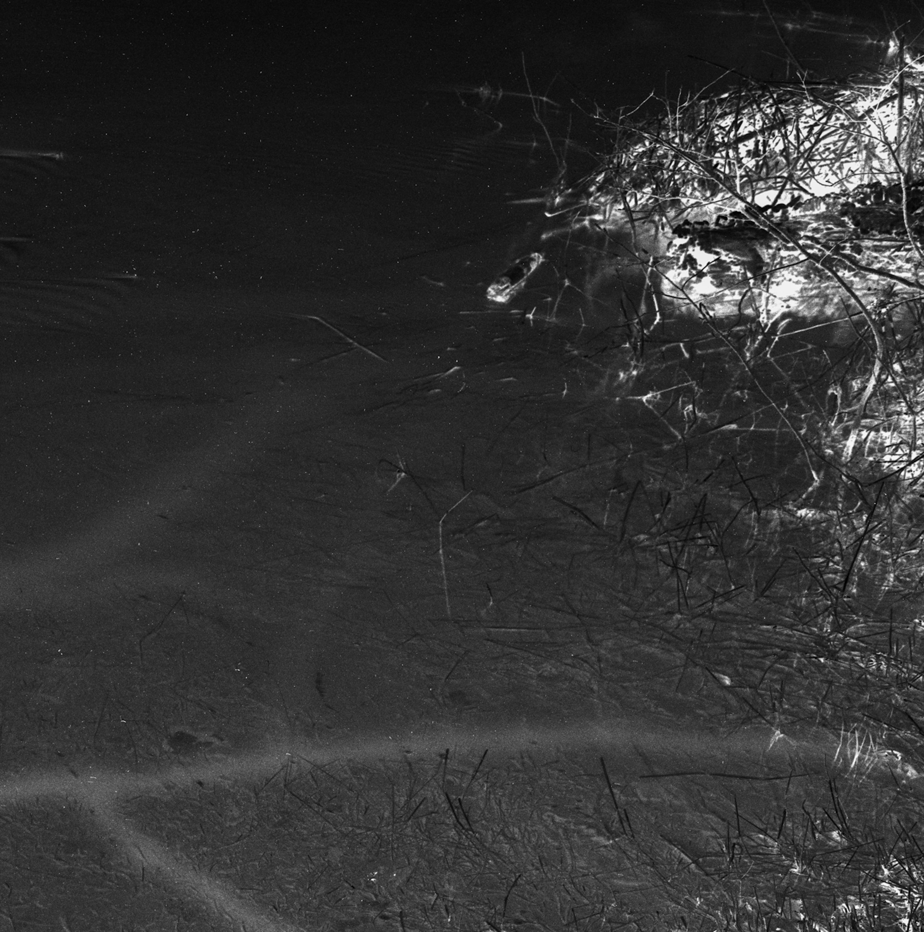 Contemporary archival inkjet print of light in the shape of branches reflecting on the surface of a river with splashes towards the corner in the otherwise calm water. Edition of 5. Available unframed, please inquire for mounting or framing