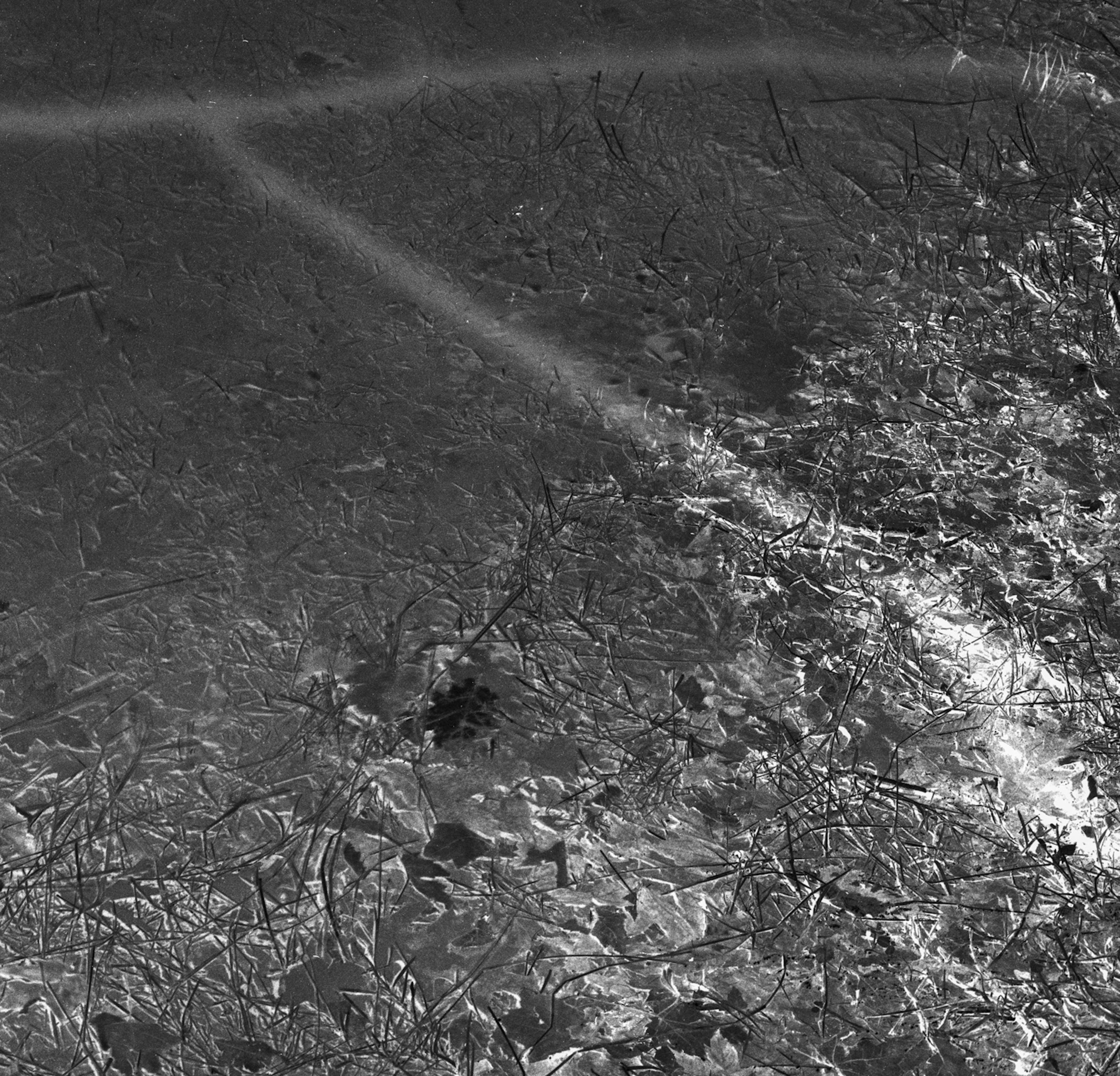 Secrets of the River - Black and White Archival Inkjet Print Water Light, 2024 For Sale 1