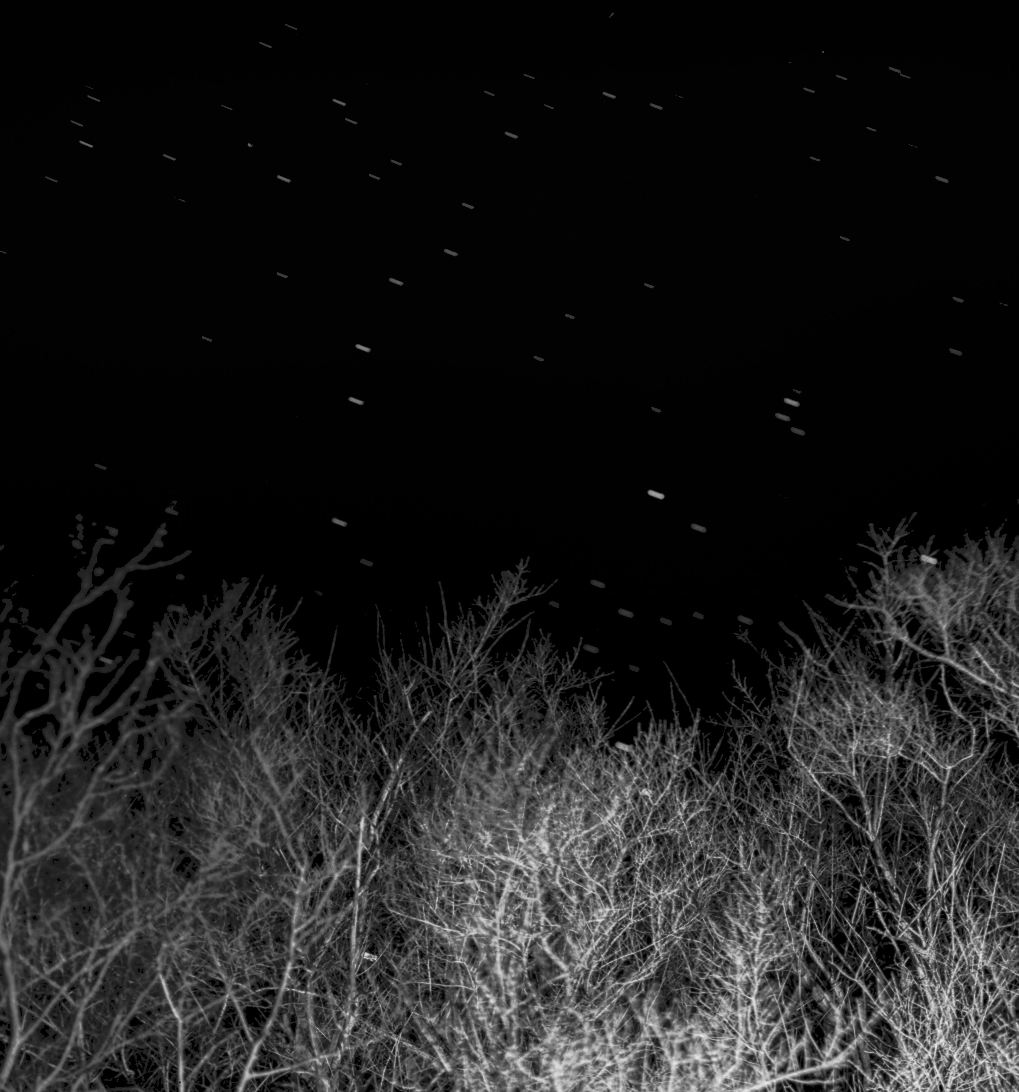 That Good Night - Archival Inkjet Print Stars Dark Starry Sky Forest Trees, 2025 - Photograph by Maya Tihtiyas Attean