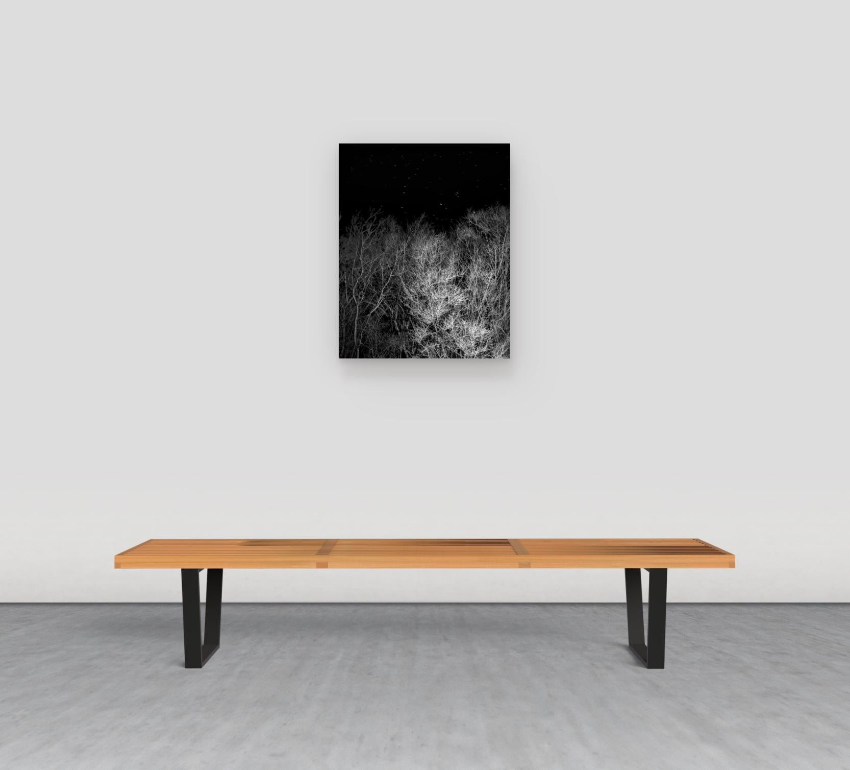 That Good Night - Archival Inkjet Print Stars Dark Starry Sky Forest Trees, 2025 For Sale 1