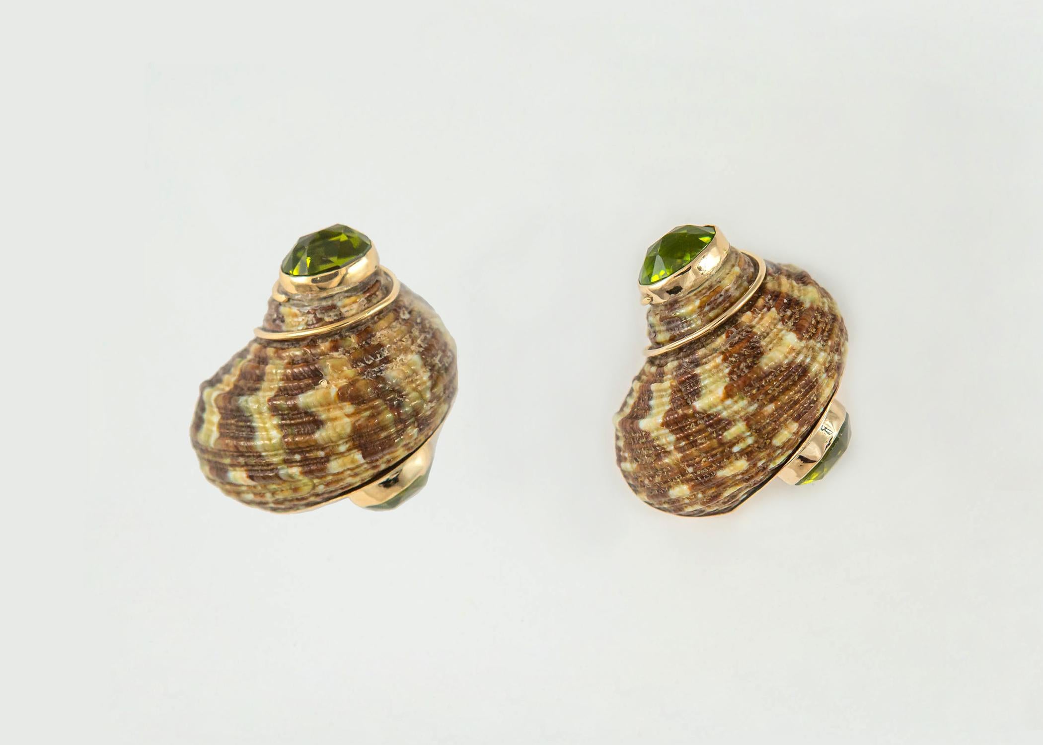 This beautiful pair of shells have dramatic pattern and color accented with bright faceted peridots. 1 1/8 inches in size. Simply Chic!!!!!