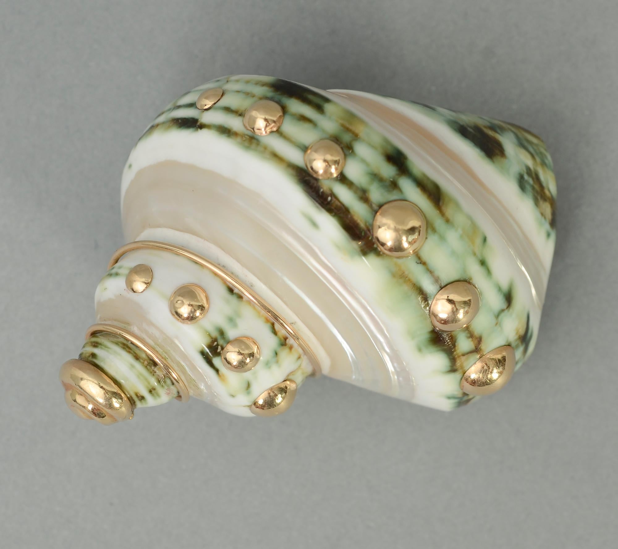 Beautiful natural shell brooch by Maz. The green has lovely shading from light to dark. Around the shell are gold dots topped with a gold shell shaped spiral. The brooch can be worn in several directions. It measures 1 3/4 inches by 2 1/2 inches at