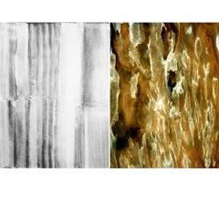 Untitled Diptych 2002 #4