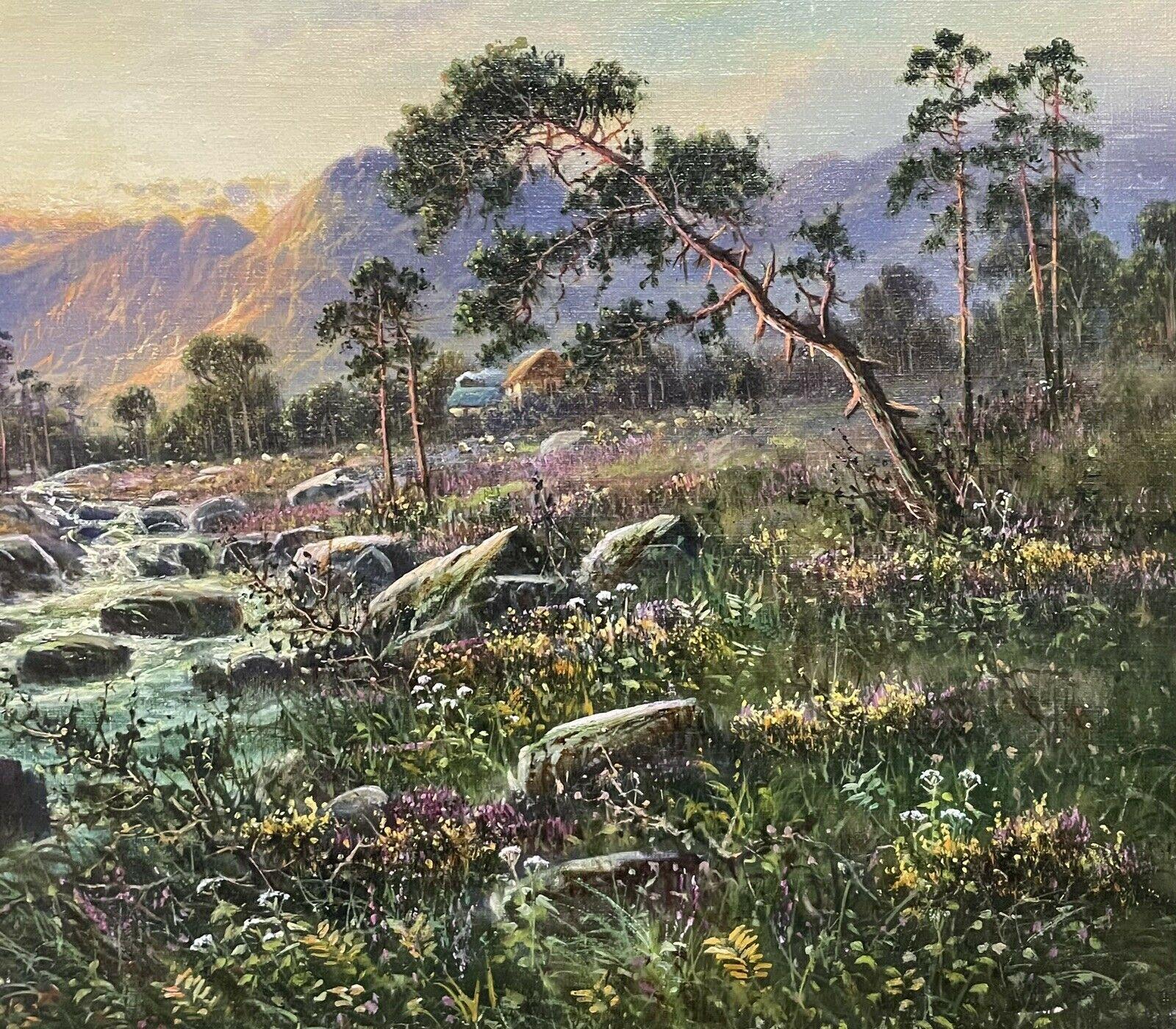 ANTIQUE SCOTTISH SIGNED OIL - WEST ARRAN SCOTLAND - SUNSET OVER HIGHLAND RIVER - Brown Landscape Painting by M.C Hider