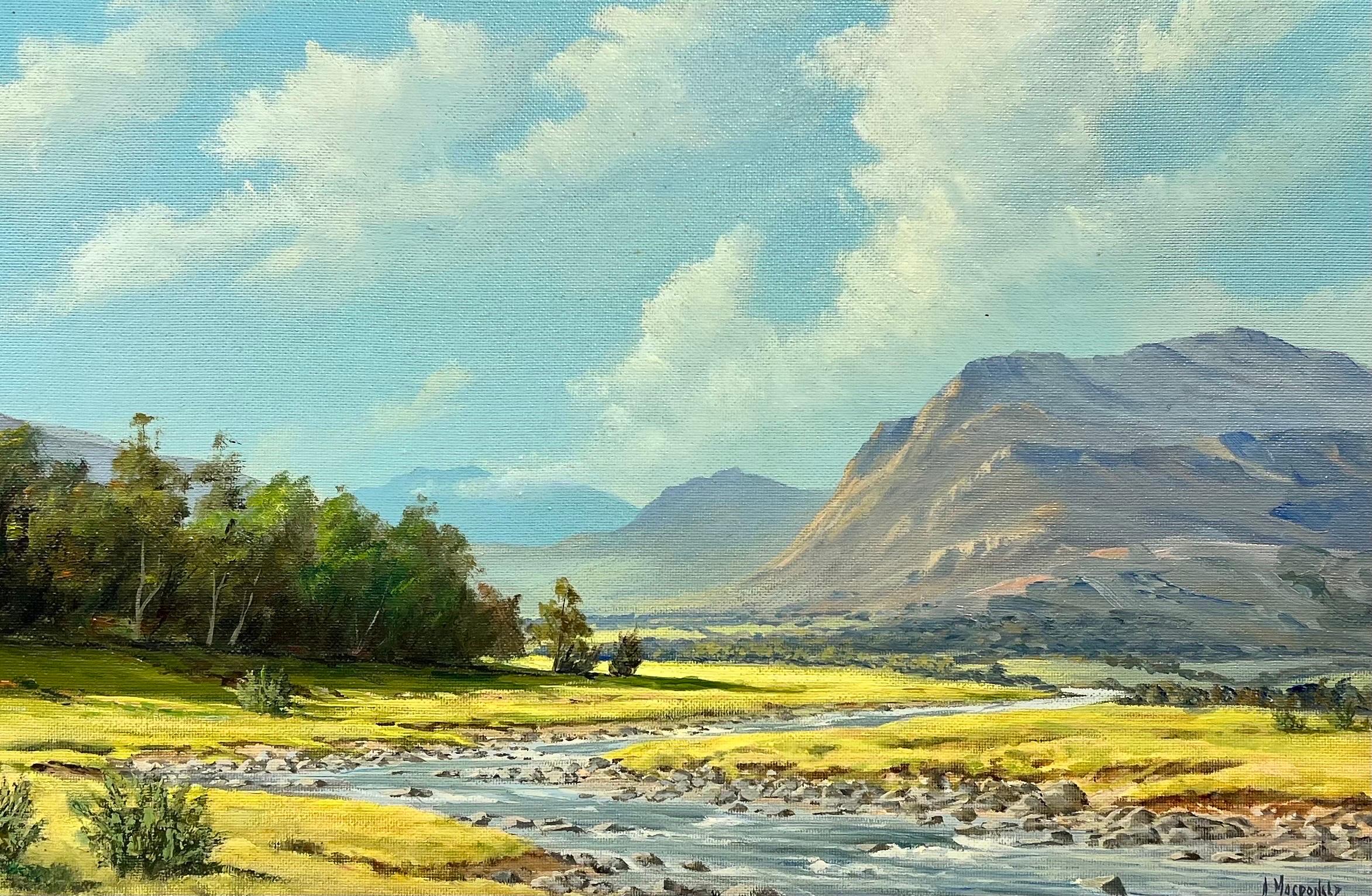 Signed Scottish Oil Sunny Highland River Landscape in Summer, framed original - Painting by McDonald