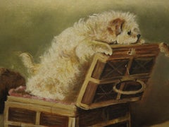 Trio von Terrier-Puppies