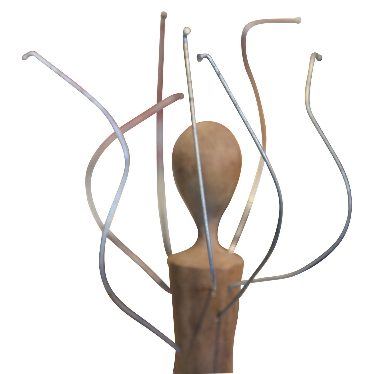 Scultura organica moderna astratta a tecnica mista in acciaio e legno in vendita 1