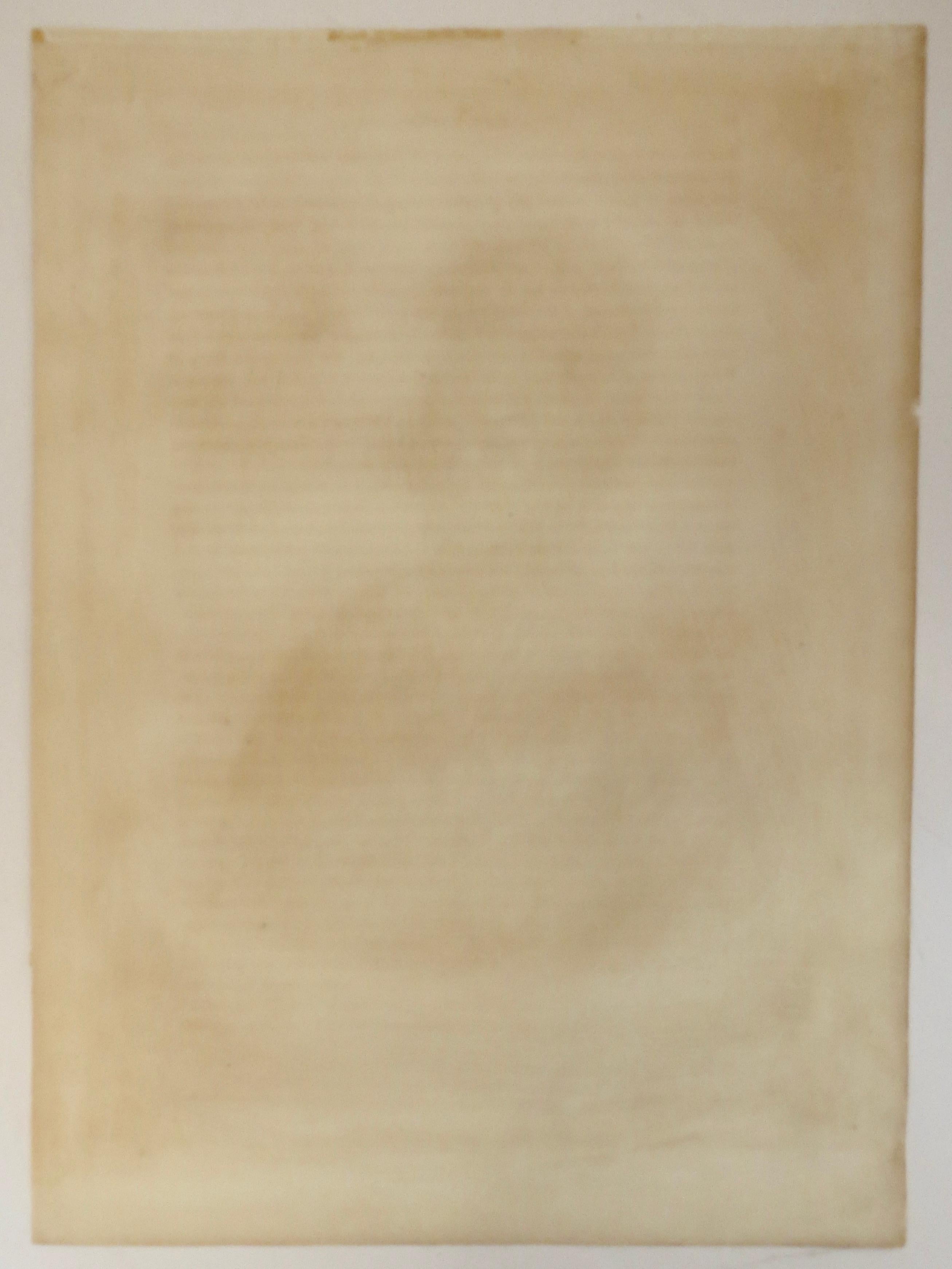 Lithographie peinte à la main de McKenney & Hall 