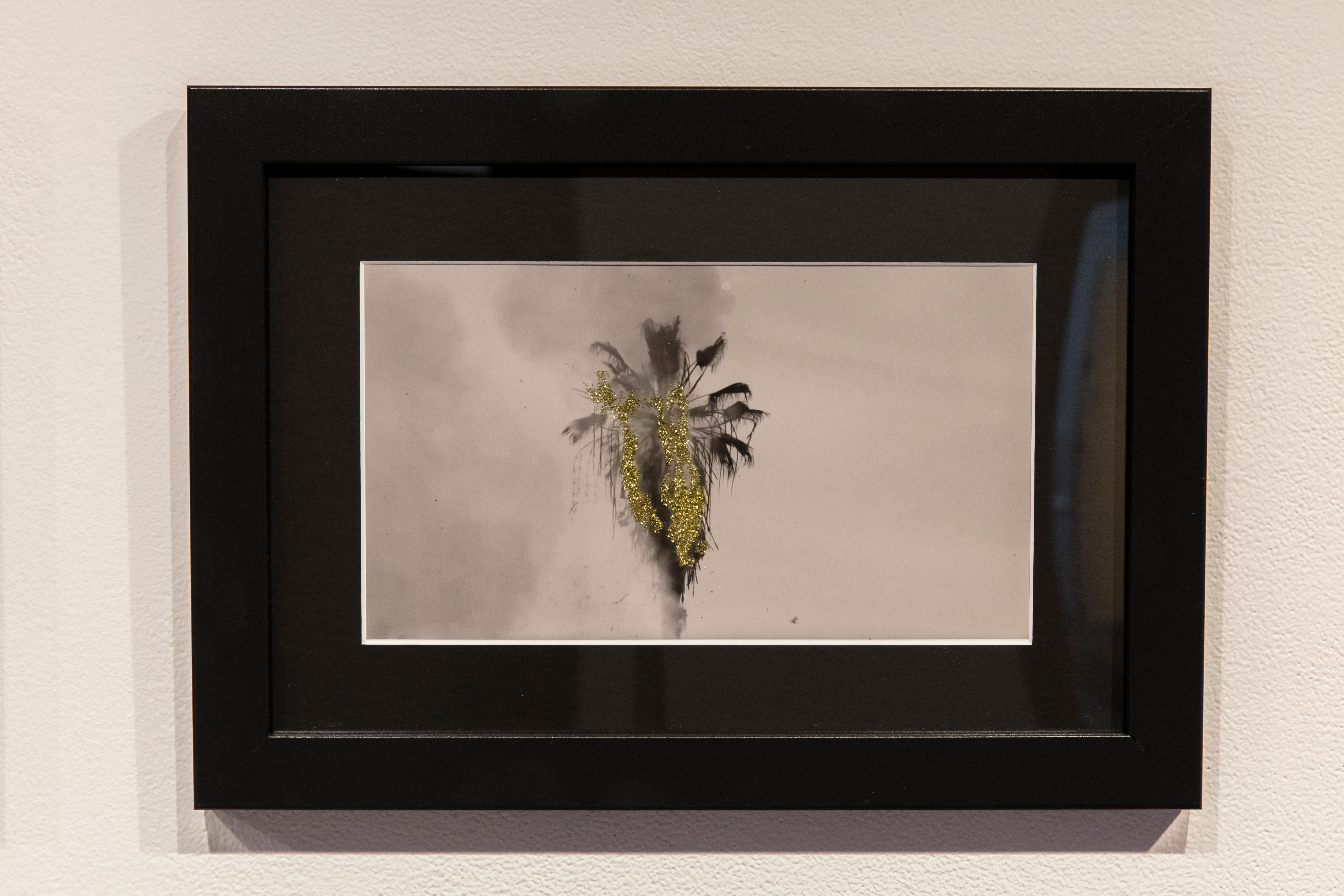 QUADRO # 93: Fotogramma originale dell'animazione di Gold Rush, Albero di palme, bianco e nero - Photograph Contemporaneo di McLean Fahnestock