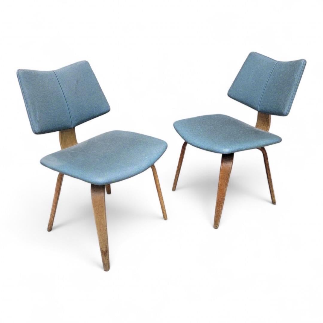 XX secolo Sedie da pranzo in legno curvato MCM di Bruno Weil per Thonet - Set di 6 in vendita
