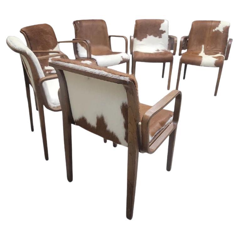 Poltrone in legno di noce di Bill Stephens per Knoll, del metà del secolo scorso, appena rivestite in pelle di vacchetta brasiliana con pelo marrone e bianco - Set di 6 

Il set di sei poltrone Mid Century Modern Bill Stephens, realizzato per Knoll,