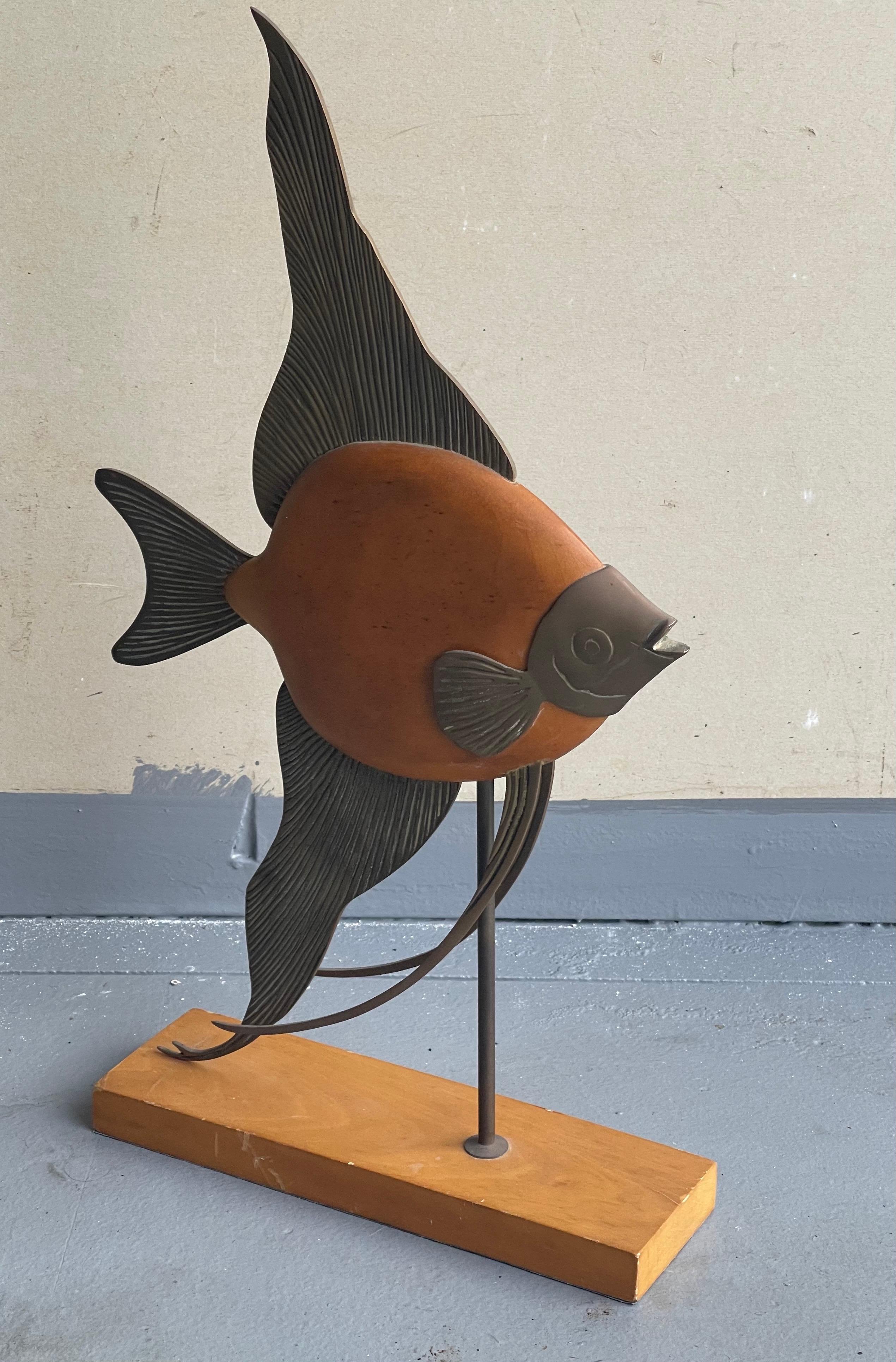 angel fish namibia