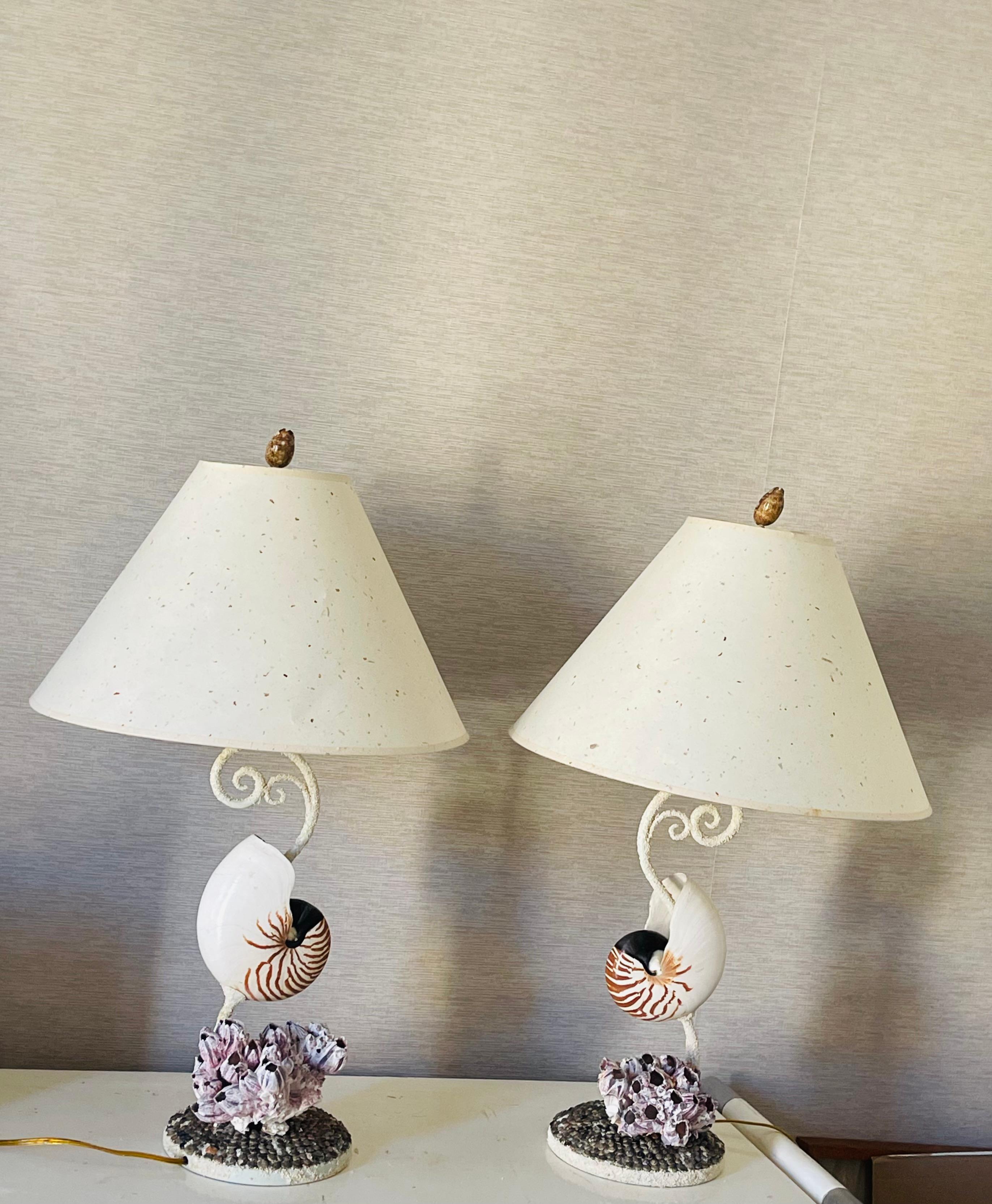 Paire de lampes côtières uniques du milieu du siècle dernier avec des coquilles de nautile de 7