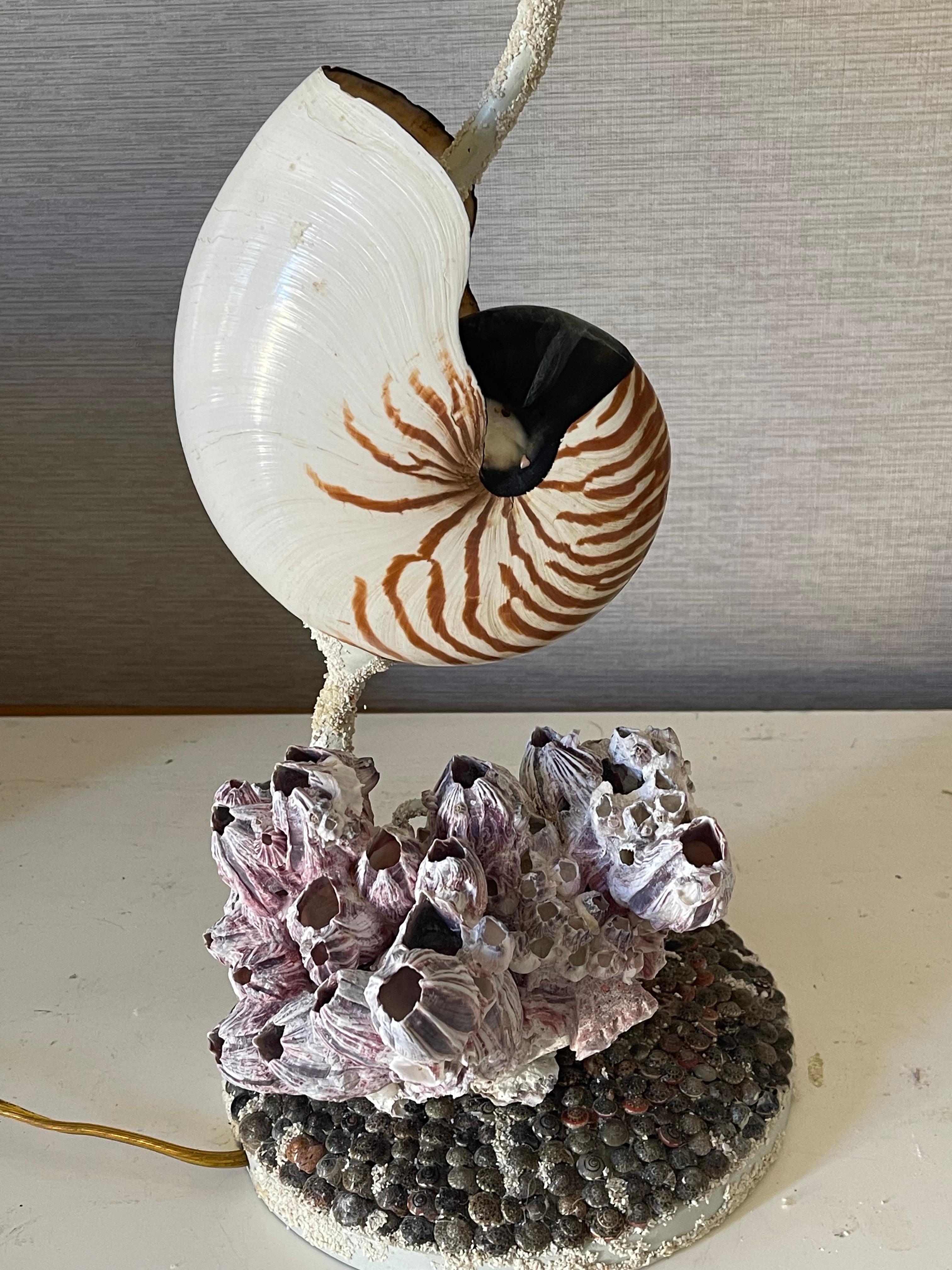 Américain Fabuleuse paire de lampes MCM Coastal Sea Shell Nautilus en vente