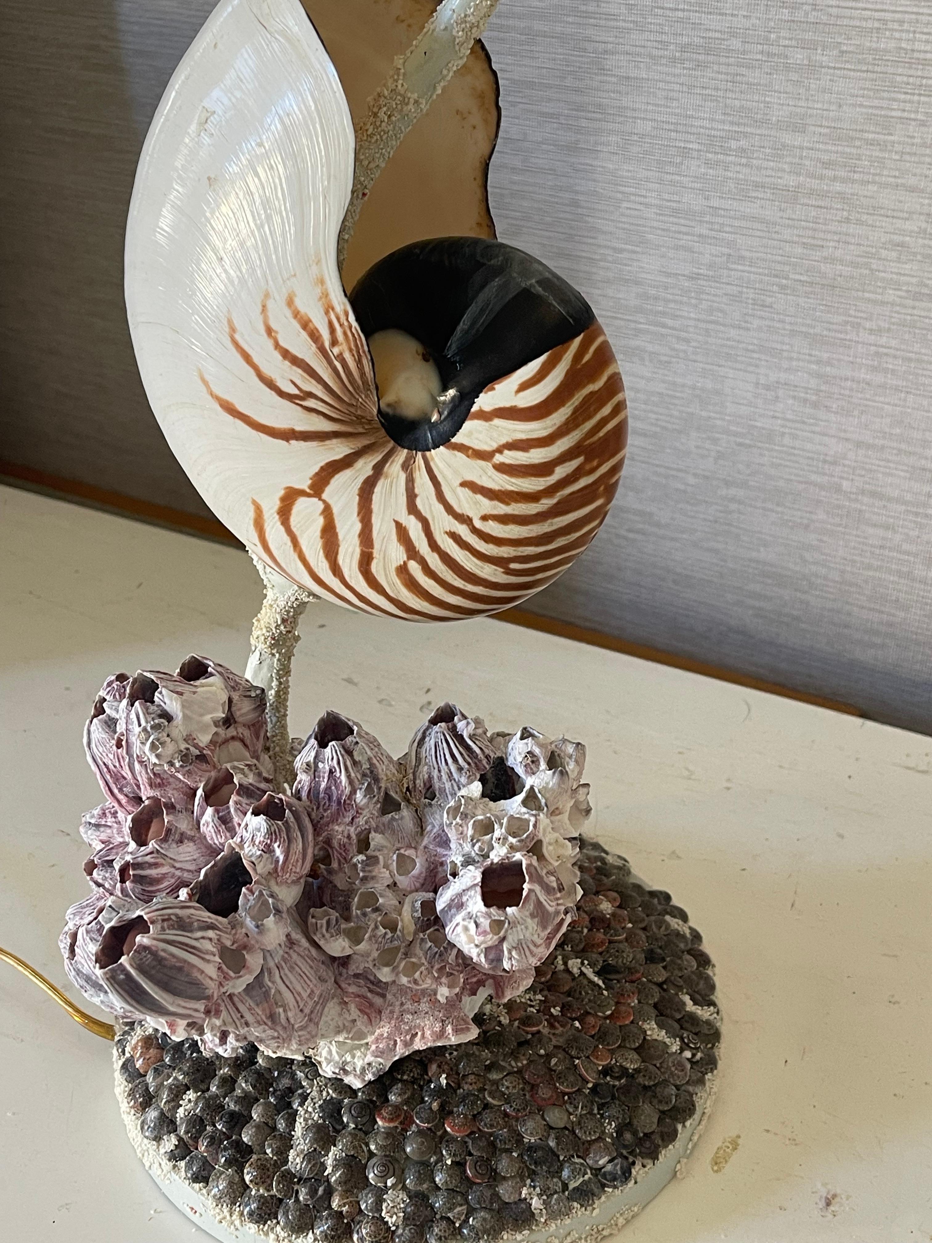 Fabuleuse paire de lampes MCM Coastal Sea Shell Nautilus Bon état - En vente à Boca Raton, FL