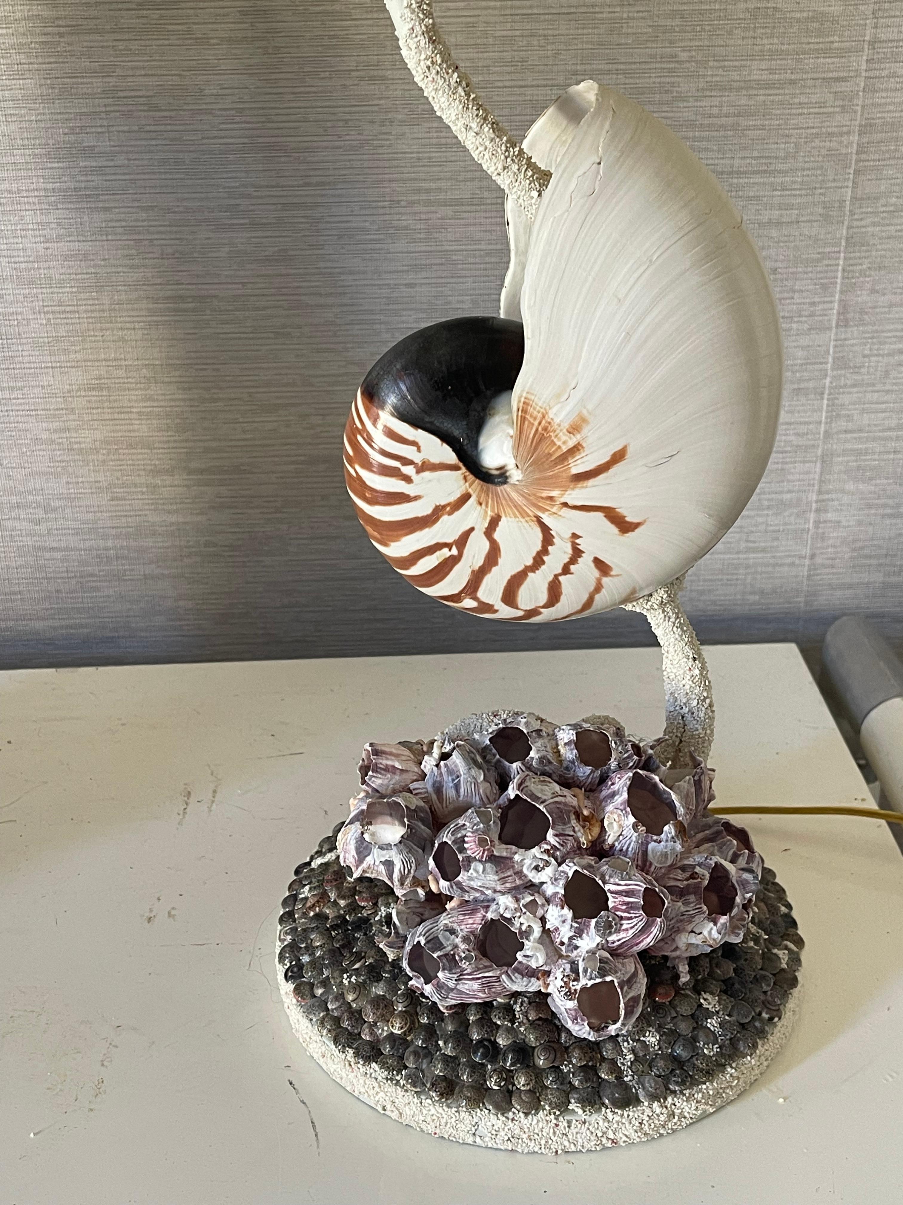 Milieu du XXe siècle Fabuleuse paire de lampes MCM Coastal Sea Shell Nautilus en vente