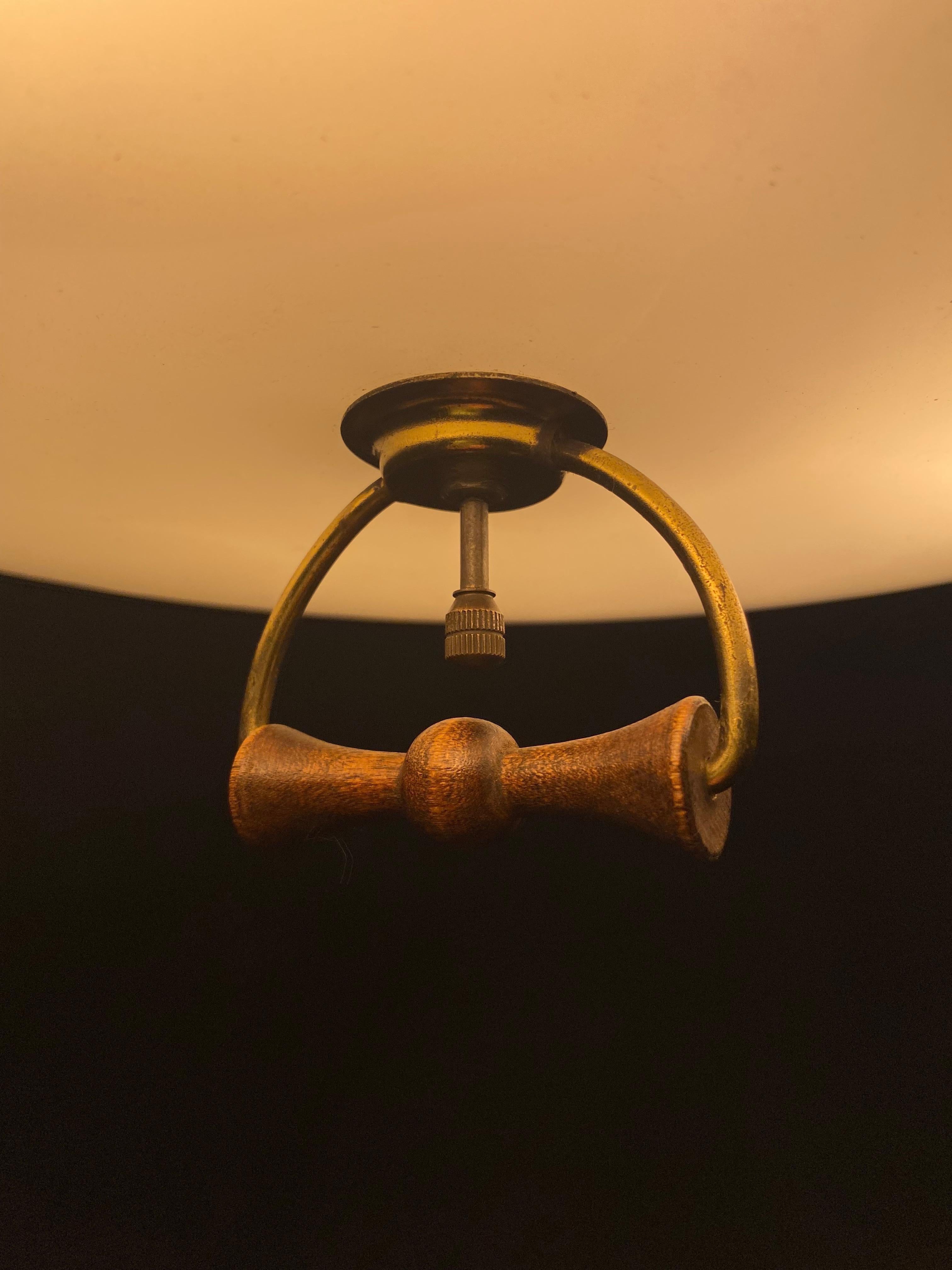 vintage retractable ceiling light