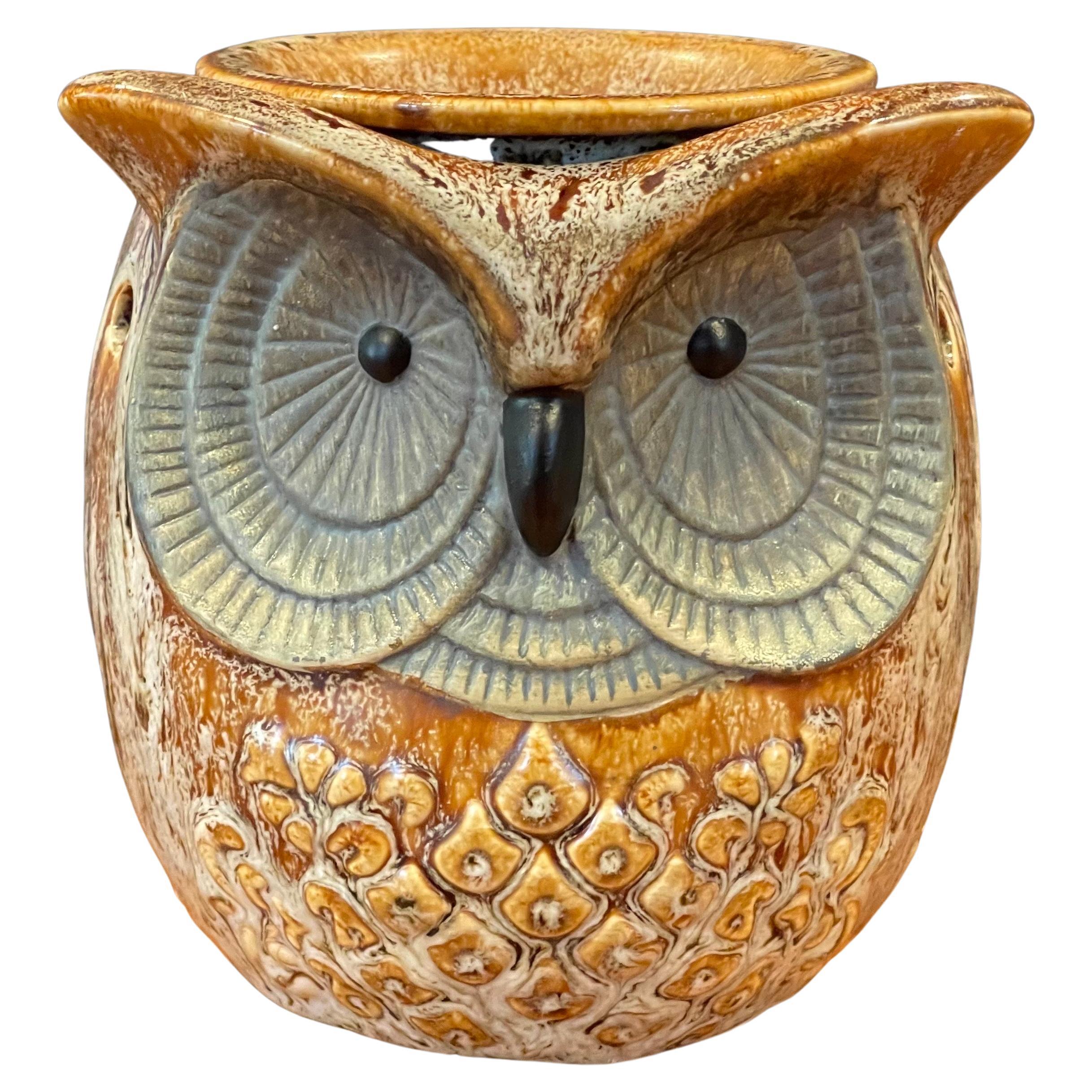 MCM Glazed Ceramic Pottery Owl Table Lamp 6