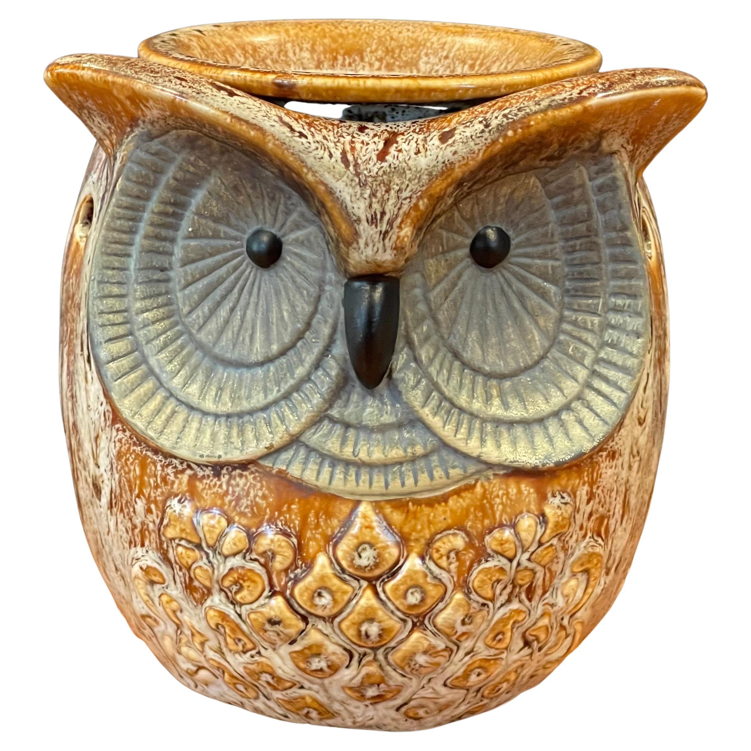 MCM Glazed Ceramic Pottery Owl Table Lamp